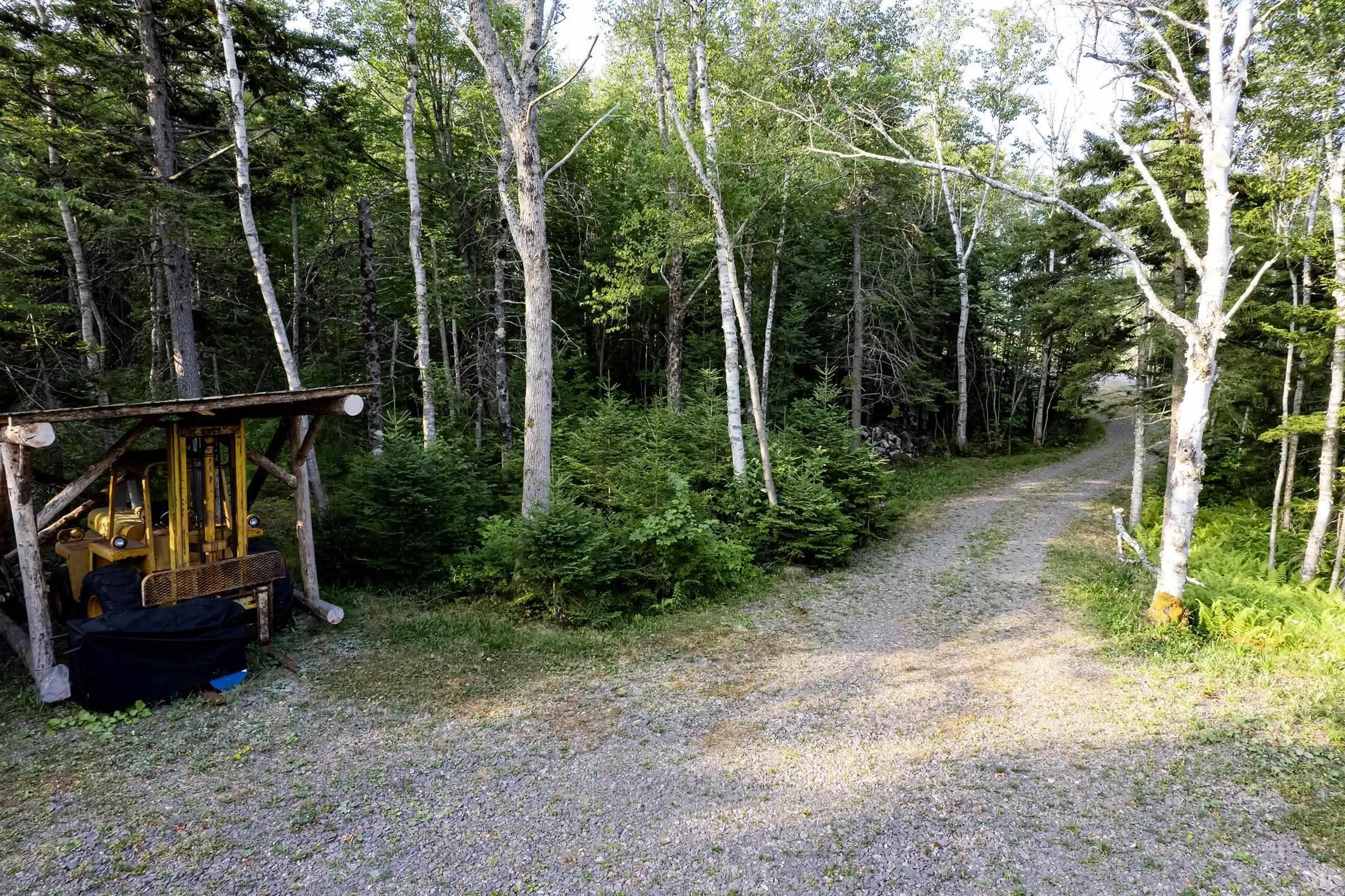 Lot Ben Phinney Road, Forest Glade, NS B0S 1N0, ,Land,For Sale,Ben Phinney,202520425