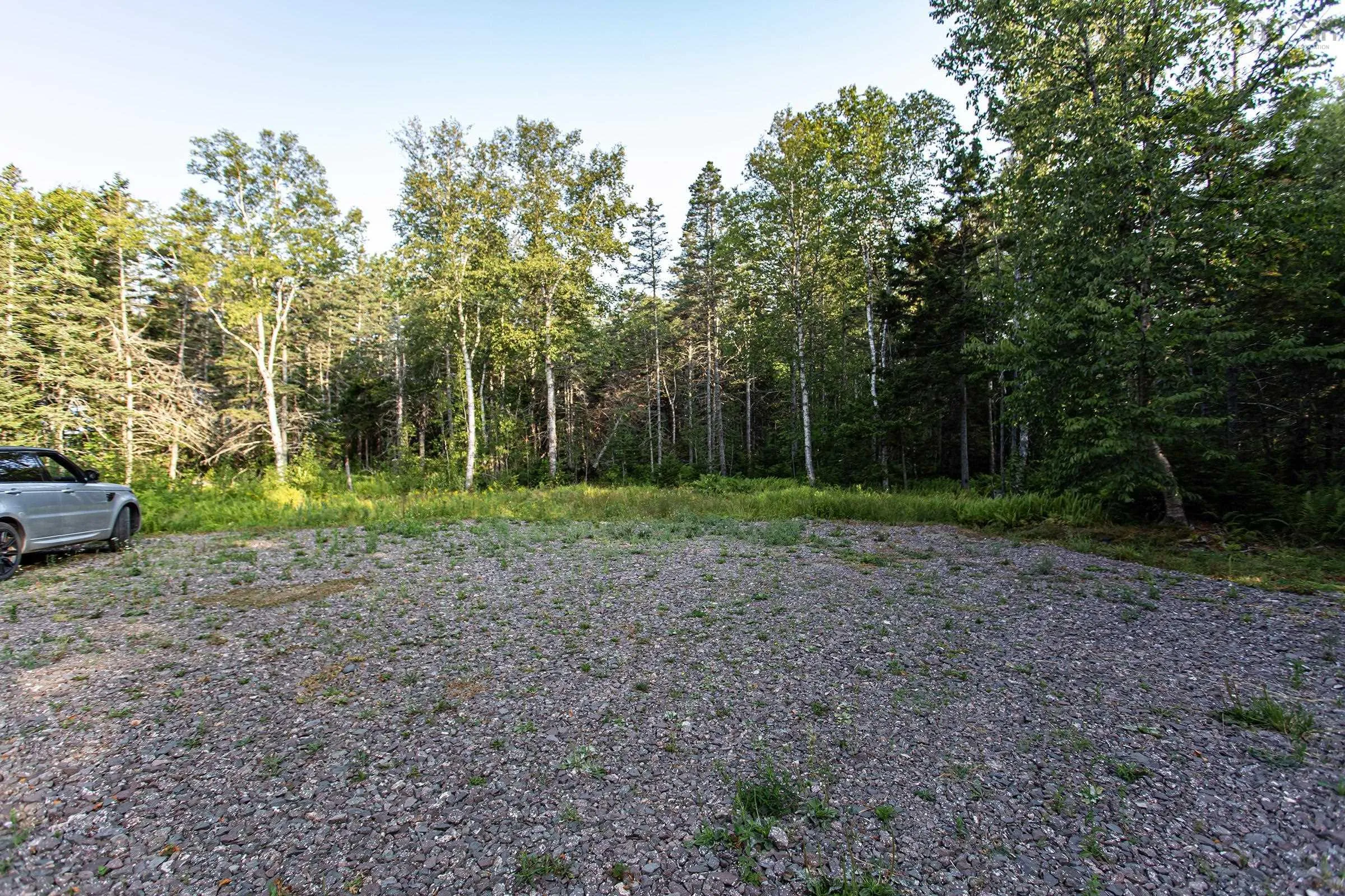 Lot Ben Phinney Road, Forest Glade, NS B0S 1N0, ,Land,For Sale,Ben Phinney,202520425