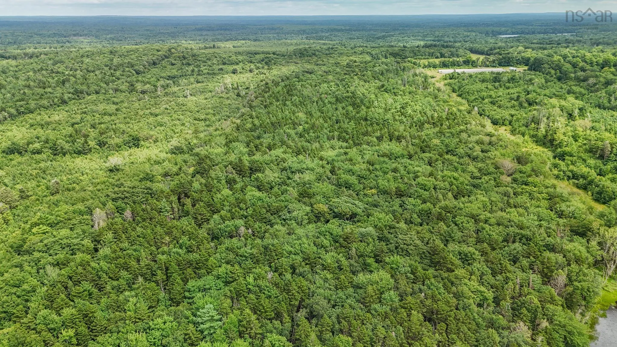Highway 340, New Tusket Ns B0w 3t0, ,Land,For Sale,Highway 340,202419674