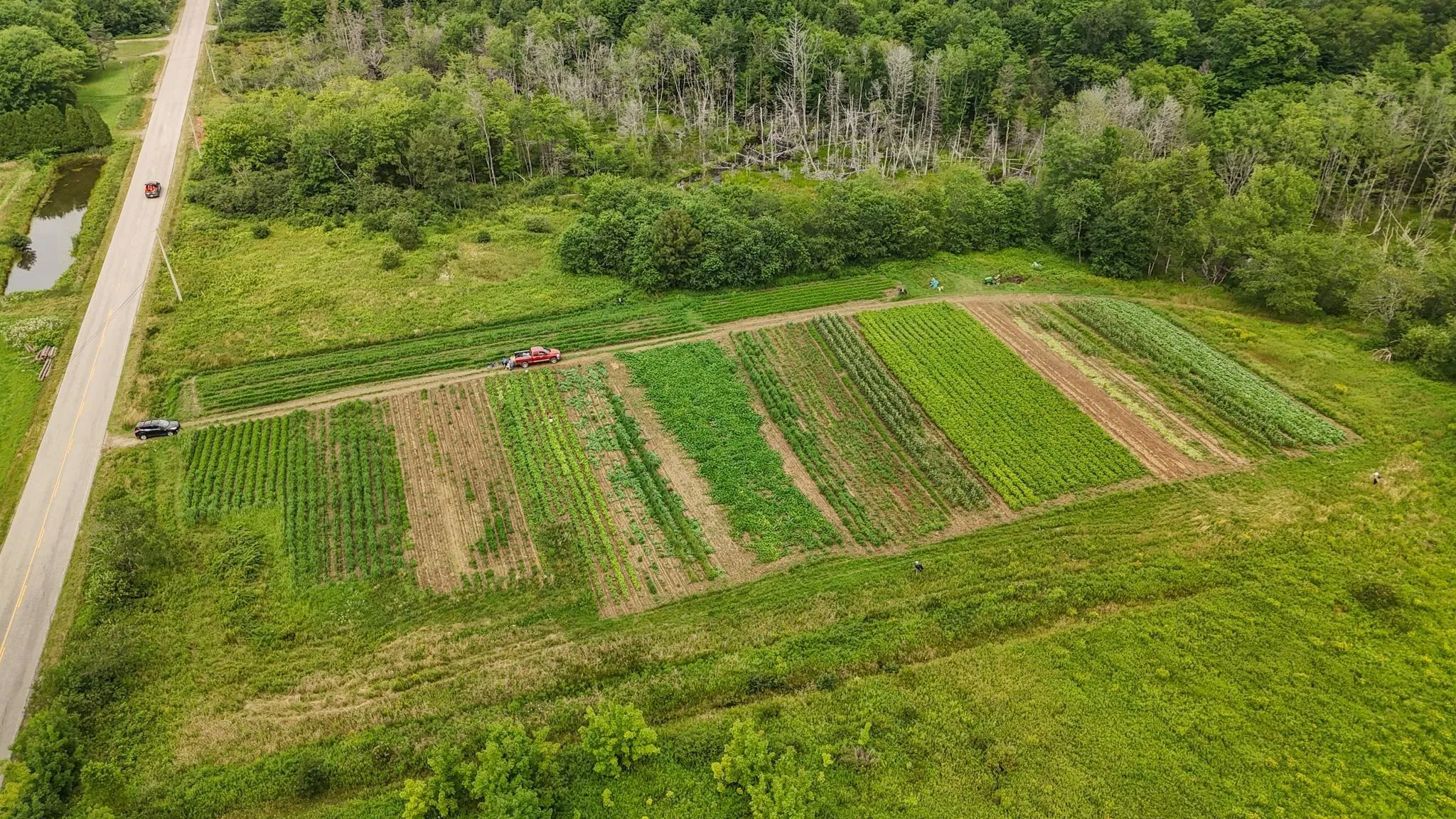 Highway 340, New Tusket Ns B0w 3t0, ,Land,For Sale,Highway 340,202419674