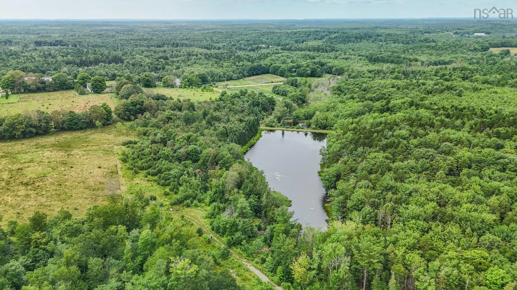 Highway 340, New Tusket Ns B0w 3t0, ,Land,For Sale,Highway 340,202419674