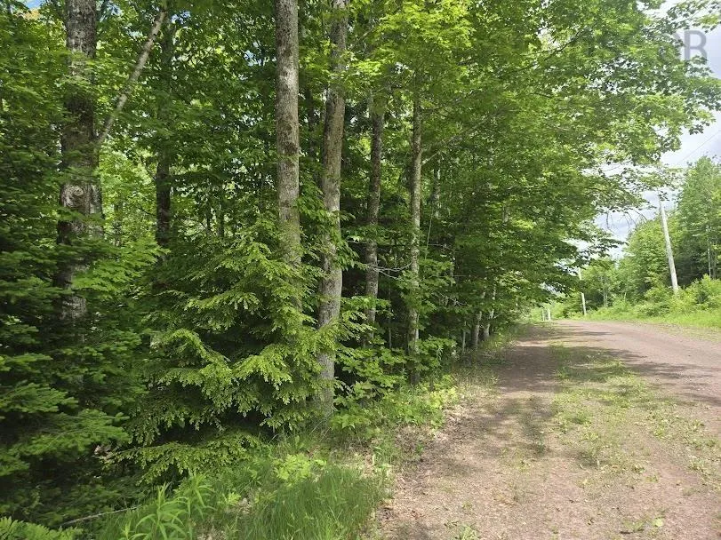 56 Acres Highway 256, East Earltown, NS B0K 1V0, ,Land,For Sale,Highway 256,202519226