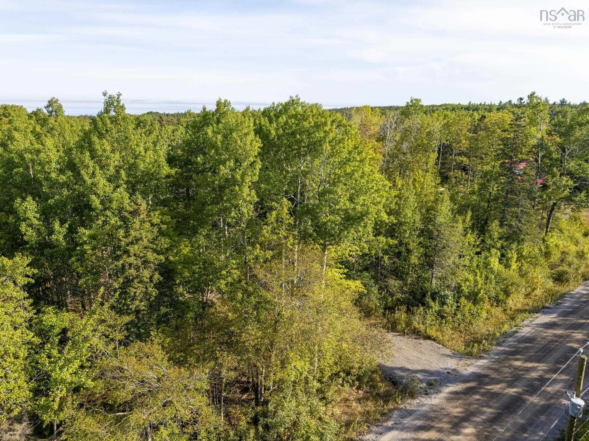 981 Forest Glade Road, Forest Glade, NS B0S 1N0, ,Land,For Sale,Forest Glade,202522560