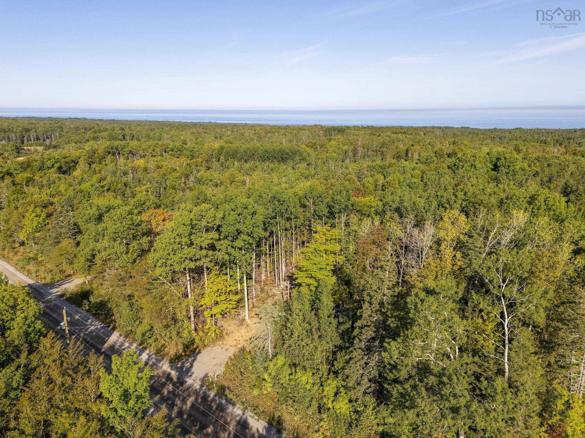 981 Forest Glade Road, Forest Glade, NS B0S 1N0, ,Land,For Sale,Forest Glade,202522560