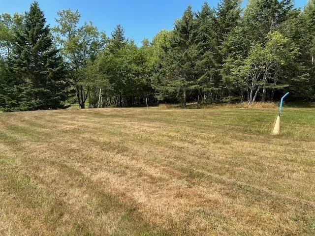 Lot M7-2 Old Coach Road, Upper Falmouth, NS B0P 1P0, ,Land,For Sale,Old Coach Road,202520675