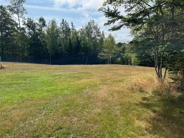 Lot M7-2 Old Coach Road, Upper Falmouth, NS B0P 1P0, ,Land,For Sale,Old Coach Road,202520675
