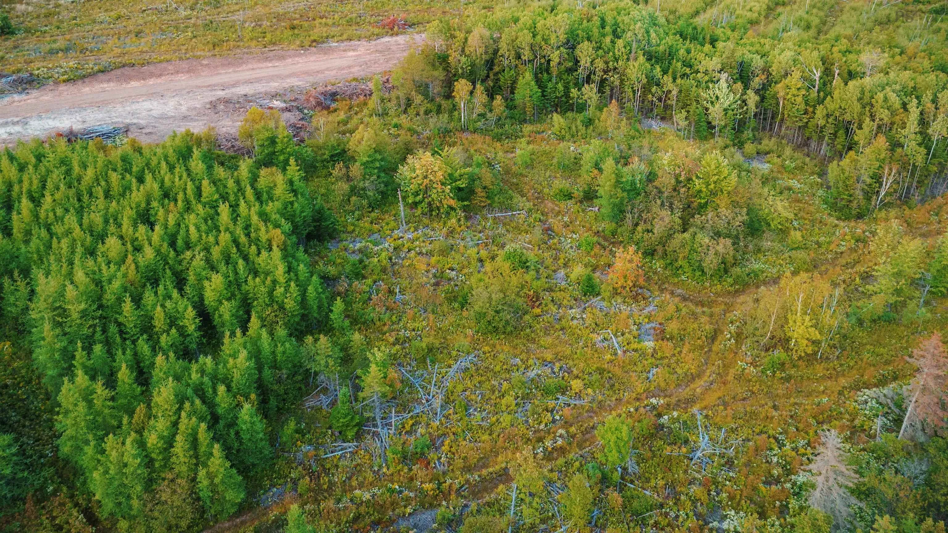 Blue Goose Drive, Harbourview Ns B0e 2w0, ,Land,For Sale,Blue Goose,202500930