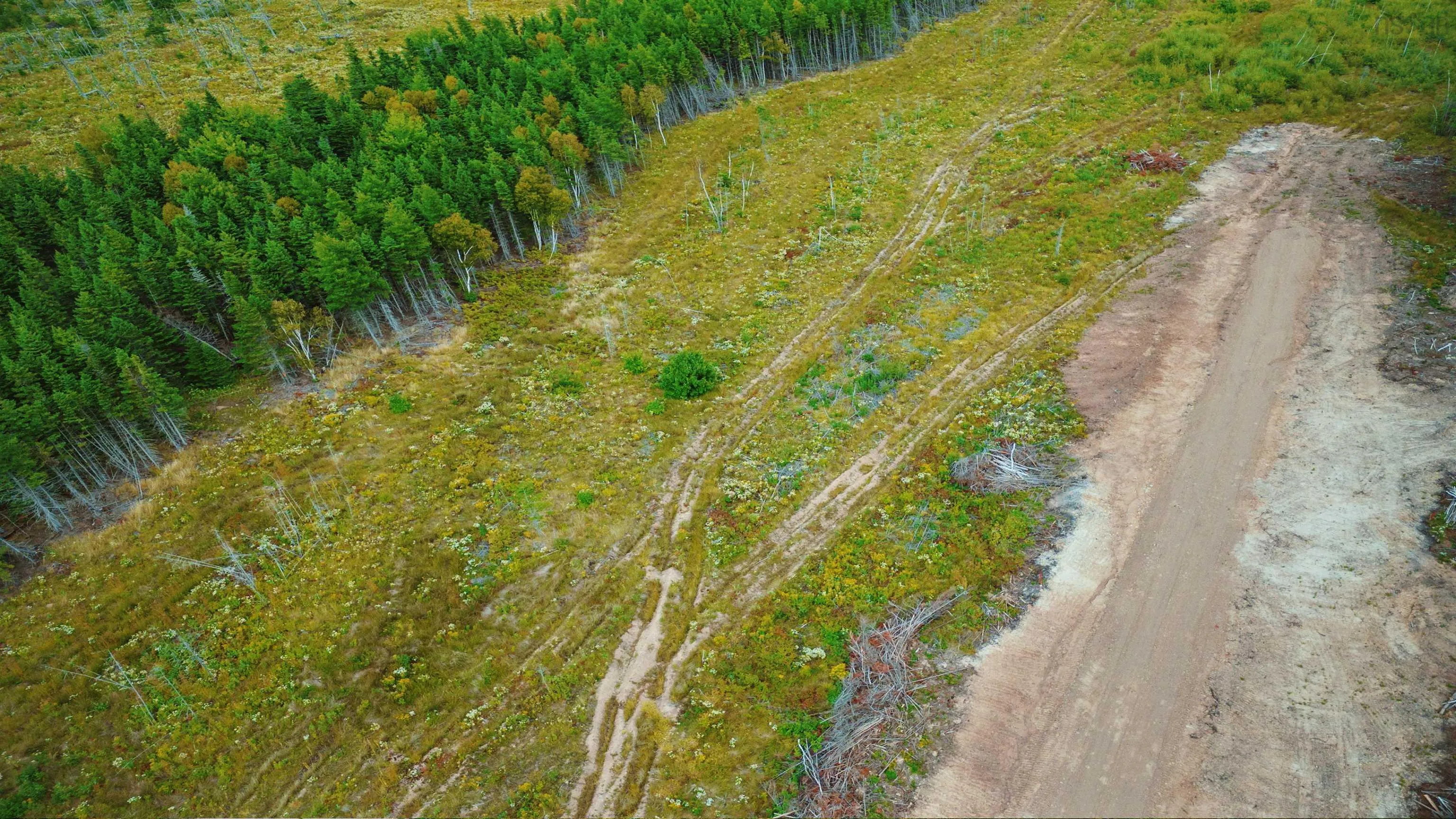 Blue Goose Drive, Harbourview Ns B0e 2w0, ,Land,For Sale,Blue Goose,202500930