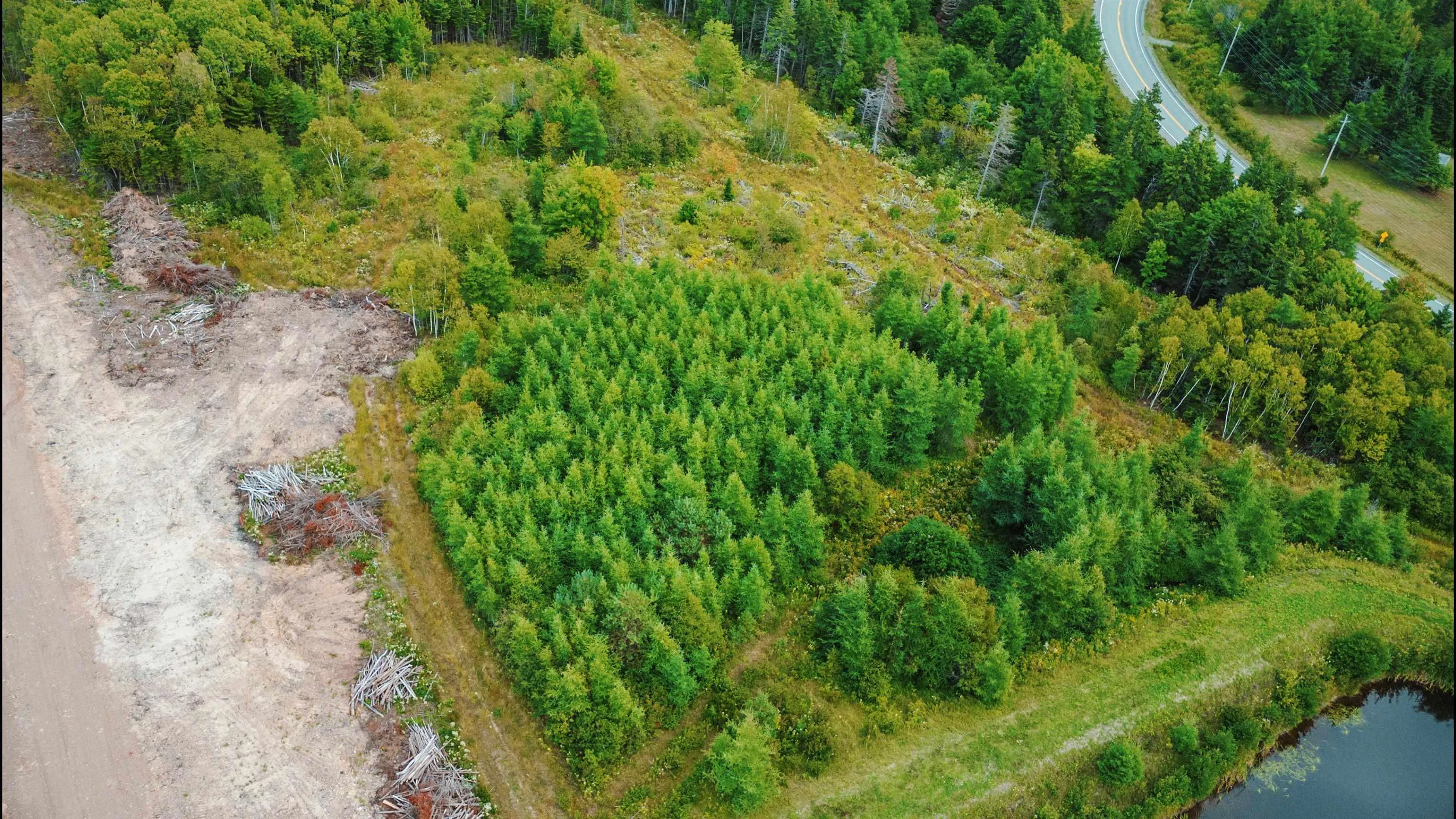 Blue Goose Drive, Harbourview Ns B0e 2w0, ,Land,For Sale,Blue Goose,202500930