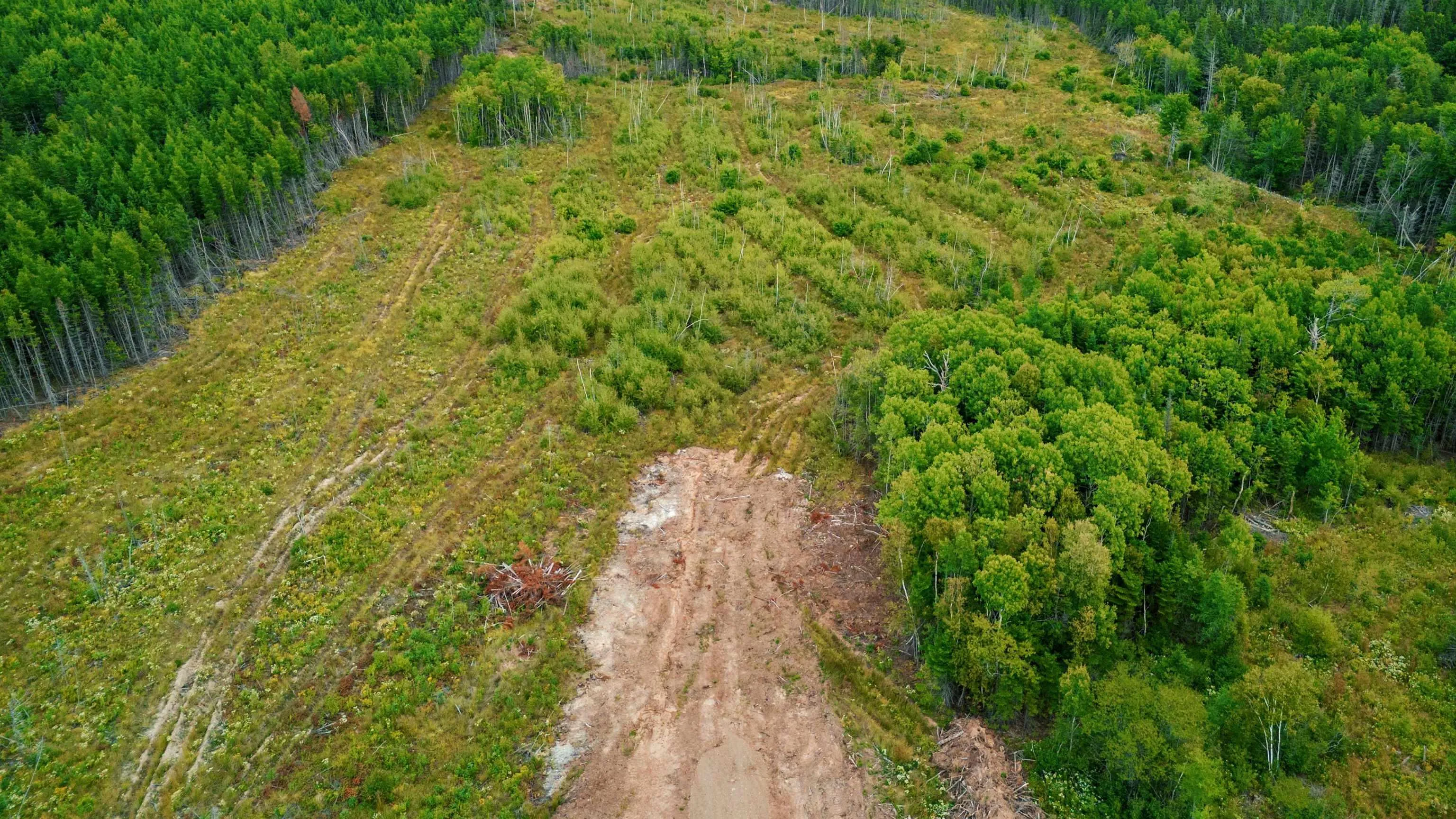 Blue Goose Drive, Harbourview Ns B0e 2w0, ,Land,For Sale,Blue Goose,202500930