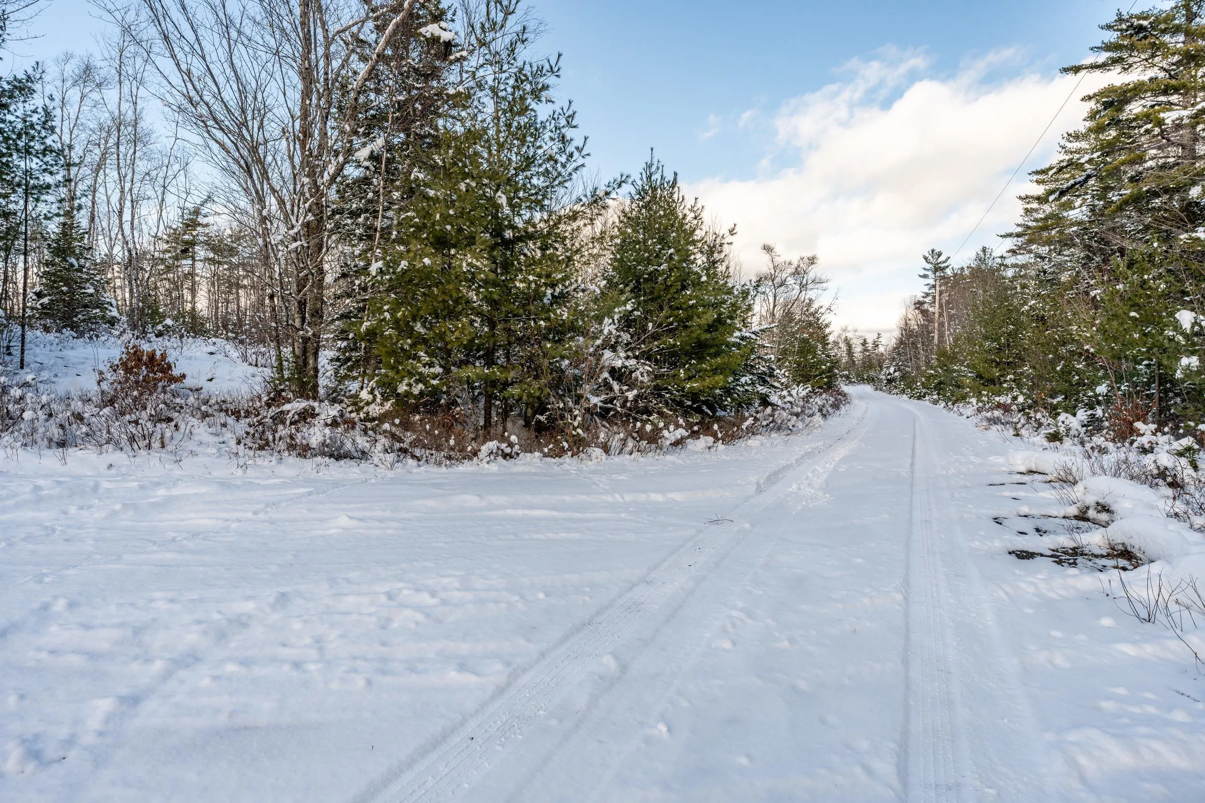 Cranberry Lake Road Lot 64, Kemptville Ns B5a 5p3, ,Land,For Sale,Cranberry Lake,202502188