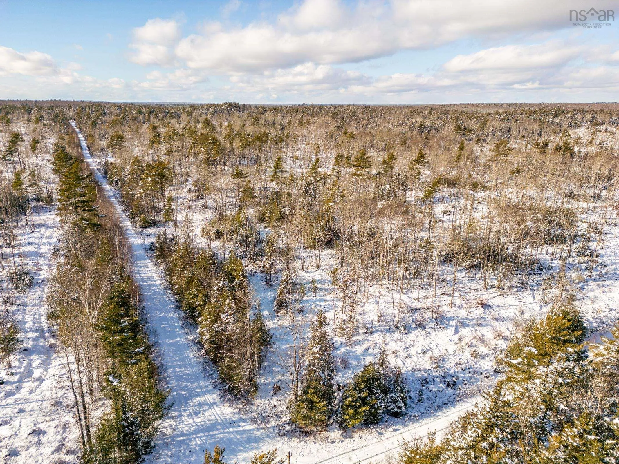 Cranberry Lake Road Lot 64, Kemptville Ns B5a 5p3, ,Land,For Sale,Cranberry Lake,202502188