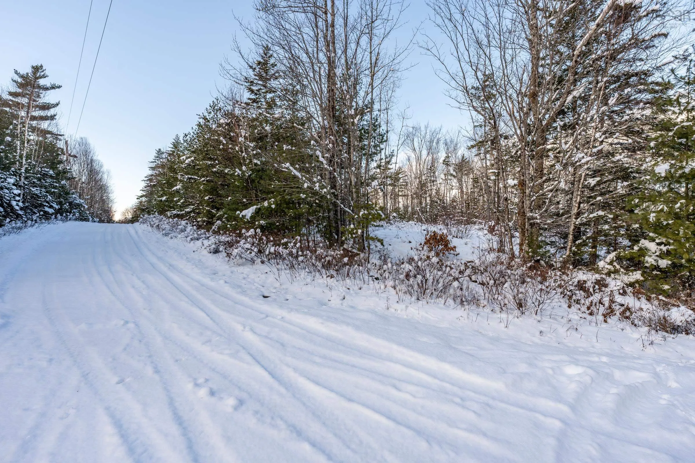 Cranberry Lake Road Lot 64, Kemptville Ns B5a 5p3, ,Land,For Sale,Cranberry Lake,202502188