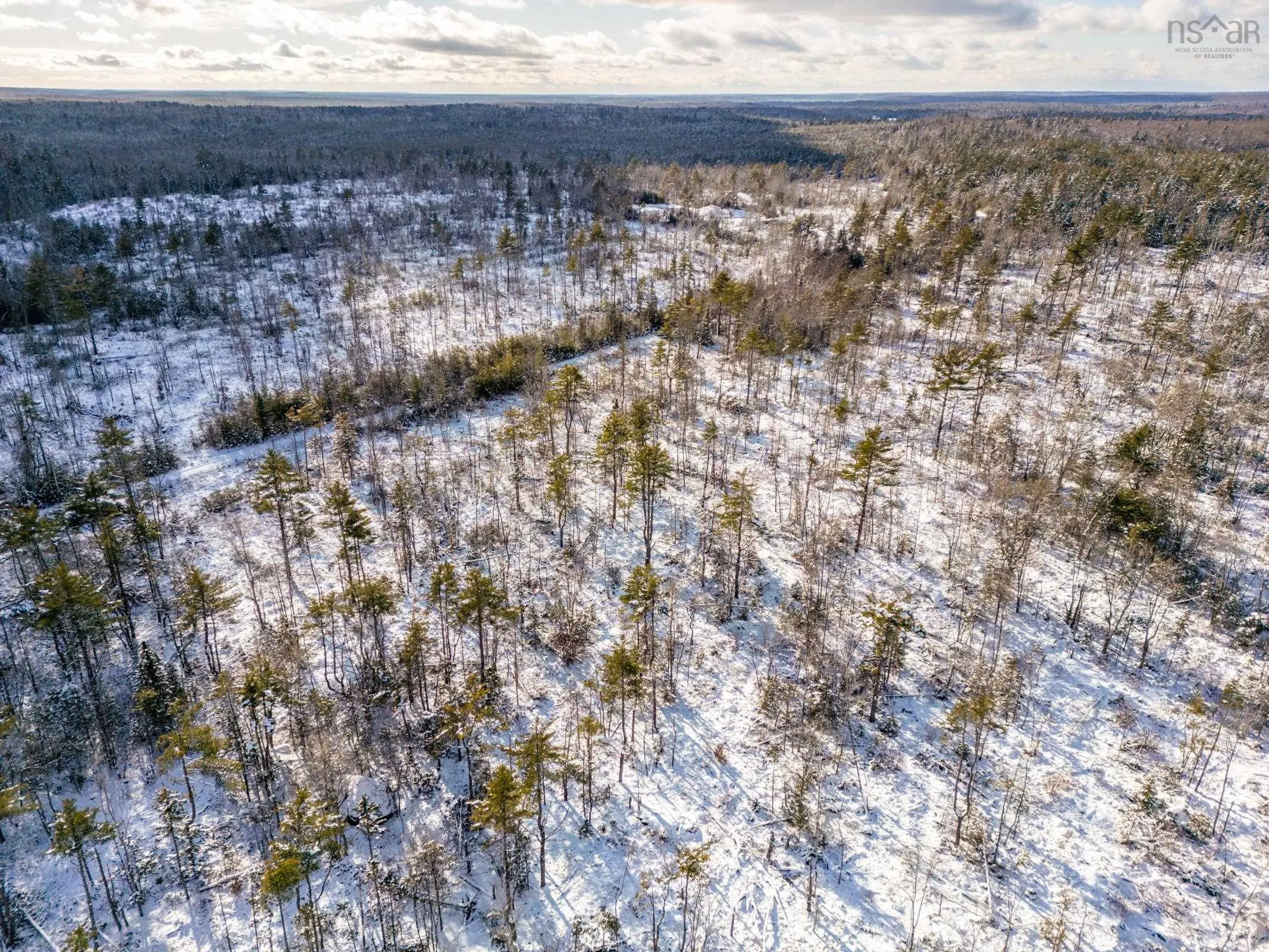 Cranberry Lake Road Lot 64, Kemptville Ns B5a 5p3, ,Land,For Sale,Cranberry Lake,202502188