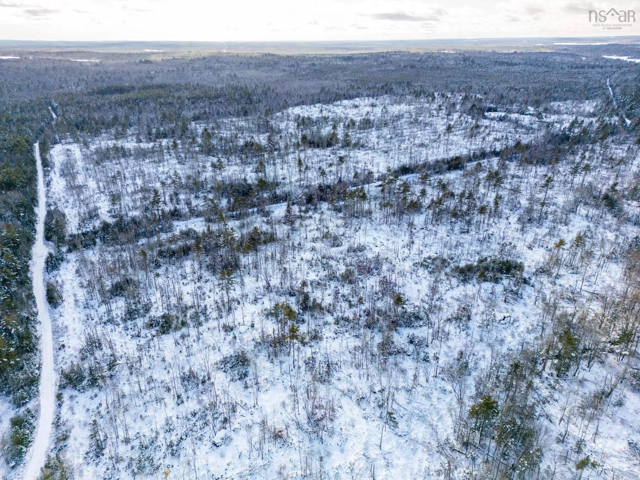 Cranberry Lake Road Lot 64, Kemptville Ns B5a 5p3, ,Land,For Sale,Cranberry Lake,202502188