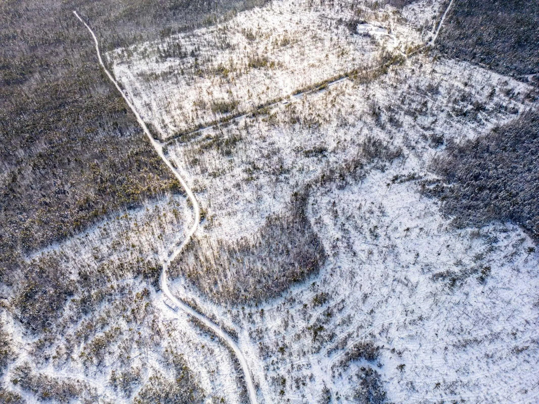 Cranberry Lake Road Lot 64, Kemptville Ns B5a 5p3, ,Land,For Sale,Cranberry Lake,202502188