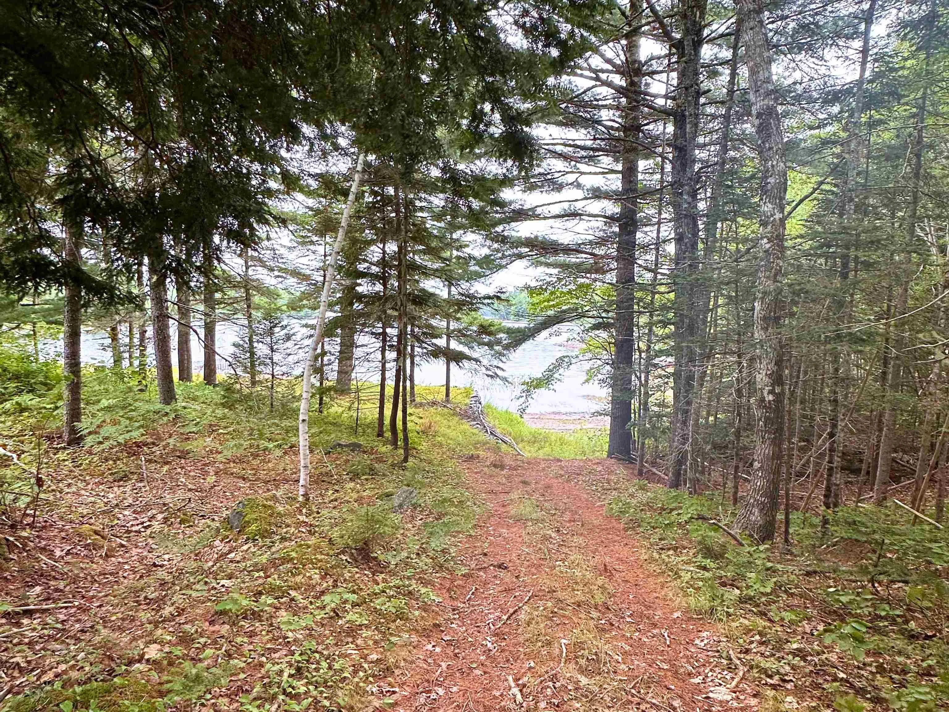 256 Dean Lake Road, Westfield, NS B0T 1B0, 2 Bedrooms Bedrooms, ,1 BathroomBathrooms,Residential,For Sale,Dean Lake,202517820