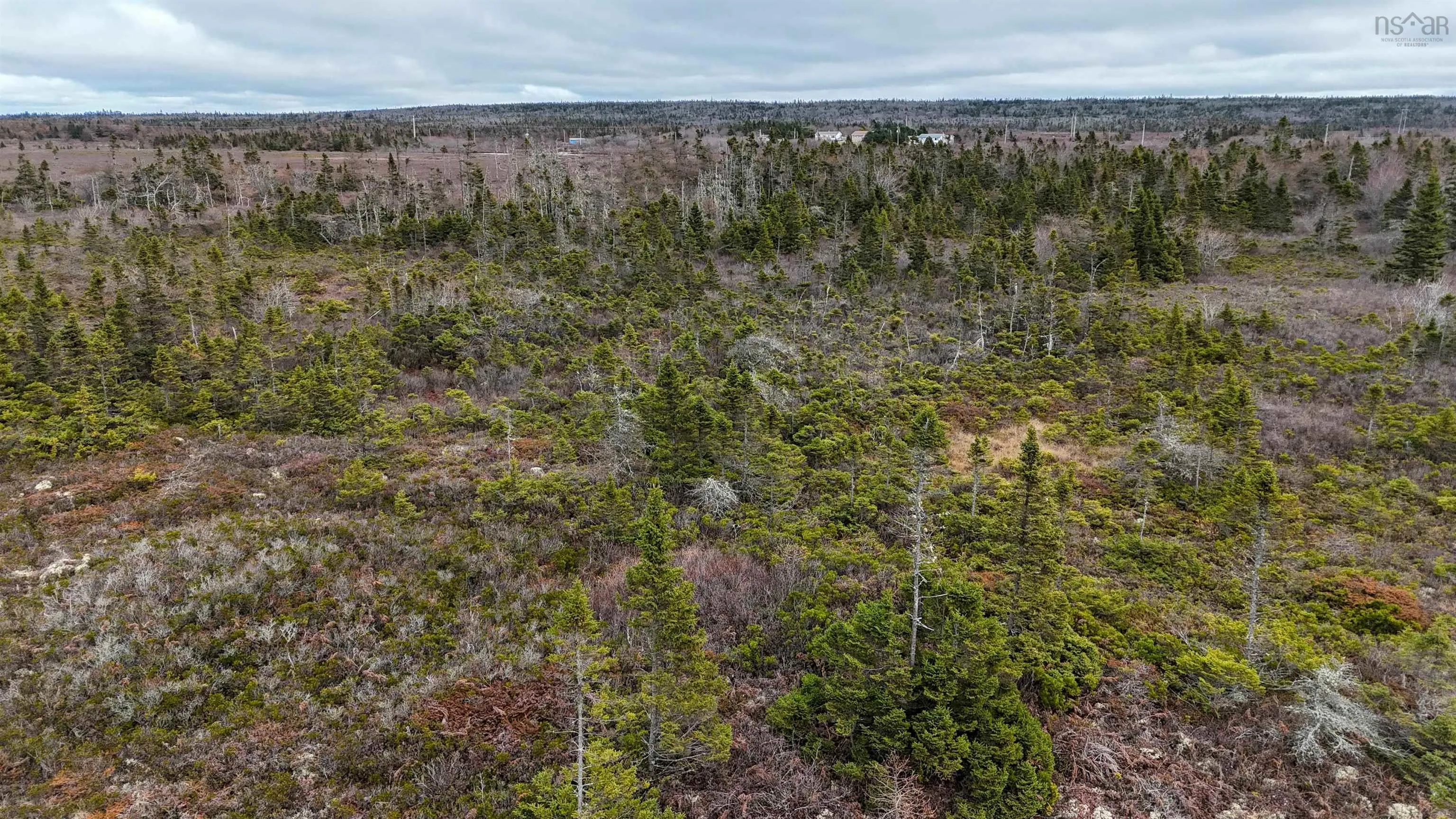 Popes Road, Charlesville, NS B0W 2E0, ,Land,For Sale,Popes,202521492
