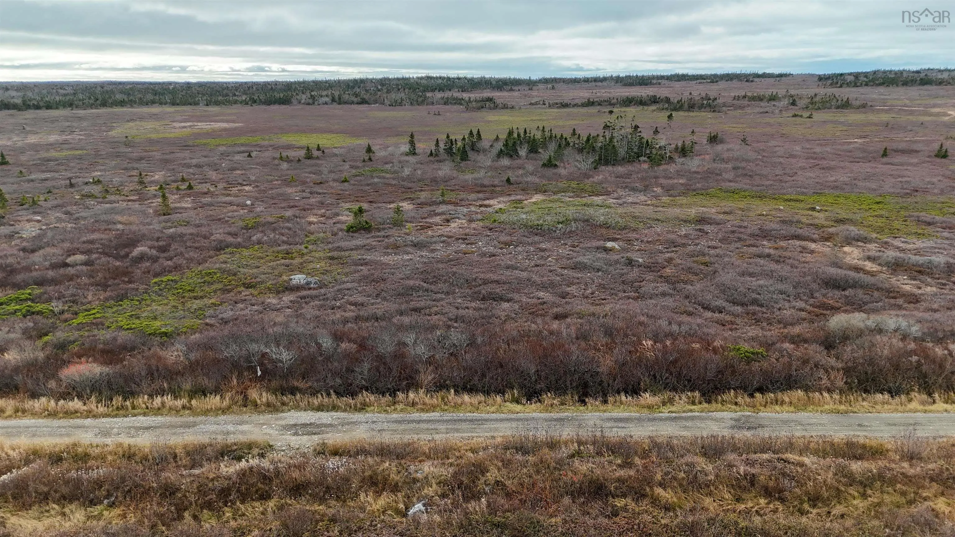 Popes Road, Charlesville, NS B0W 2E0, ,Land,For Sale,Popes,202521492