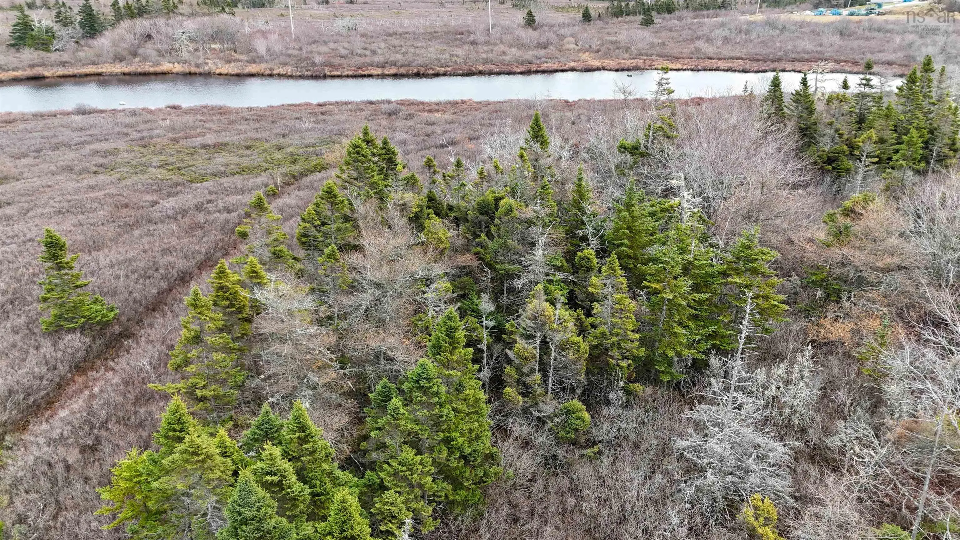 Popes Road, Charlesville, NS B0W 2E0, ,Land,For Sale,Popes,202521492