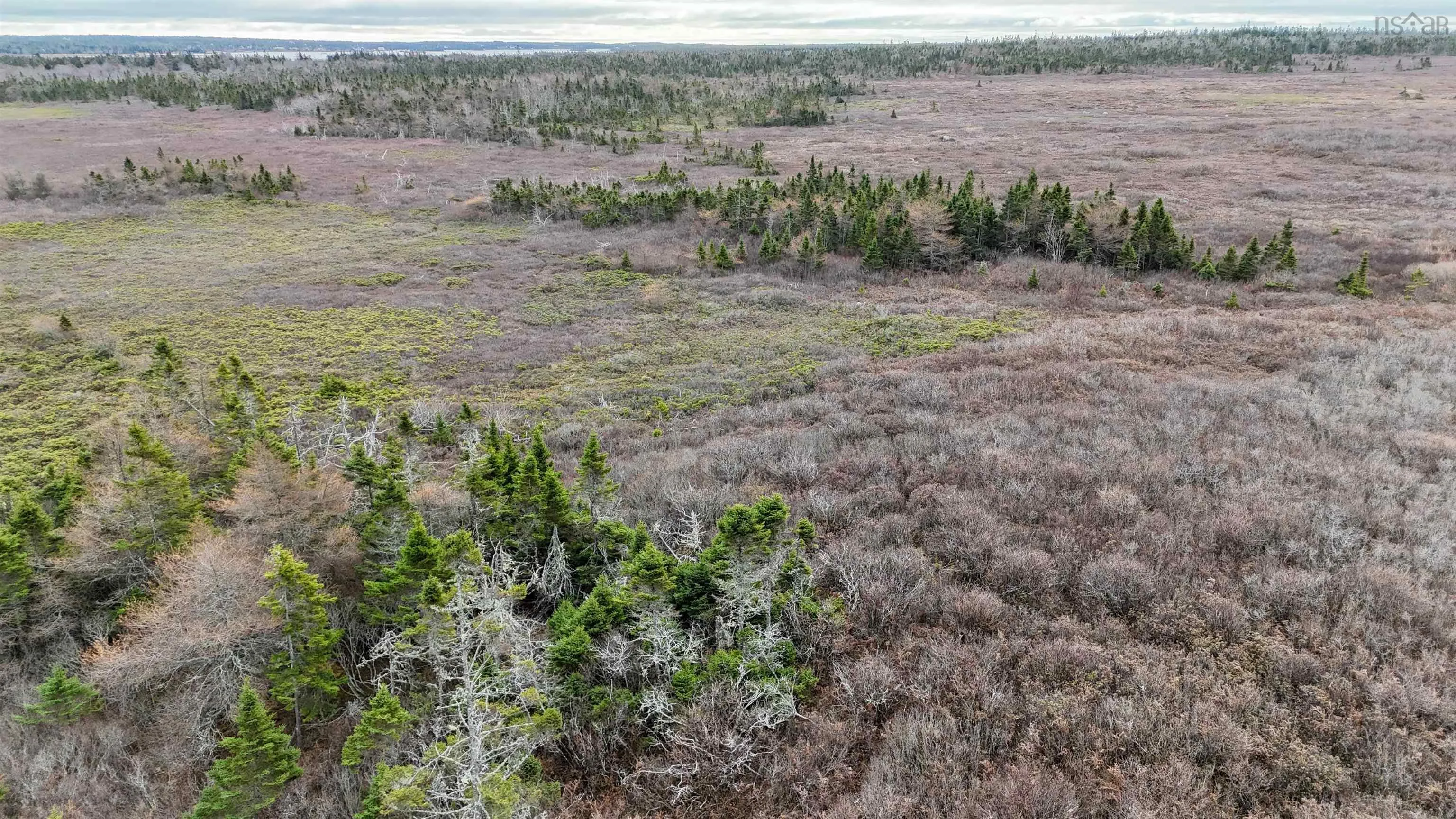 Popes Road, Charlesville, NS B0W 2E0, ,Land,For Sale,Popes,202521492
