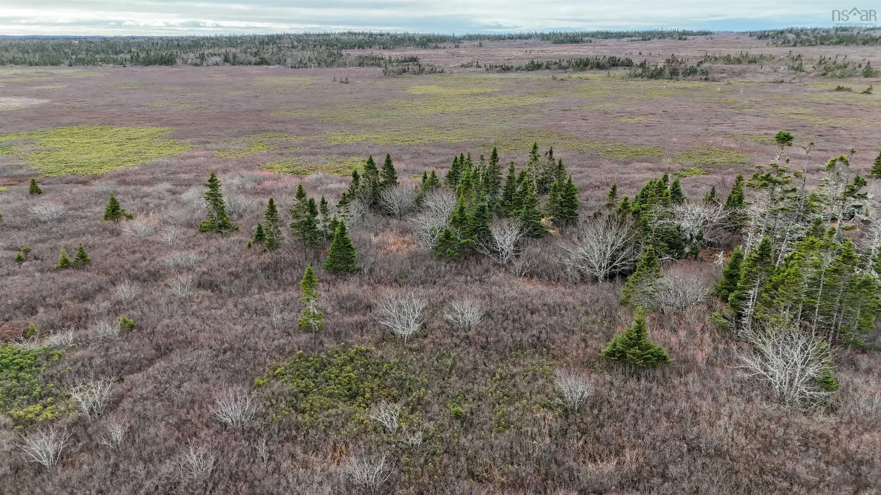 Popes Road, Charlesville, NS B0W 2E0, ,Land,For Sale,Popes,202521492