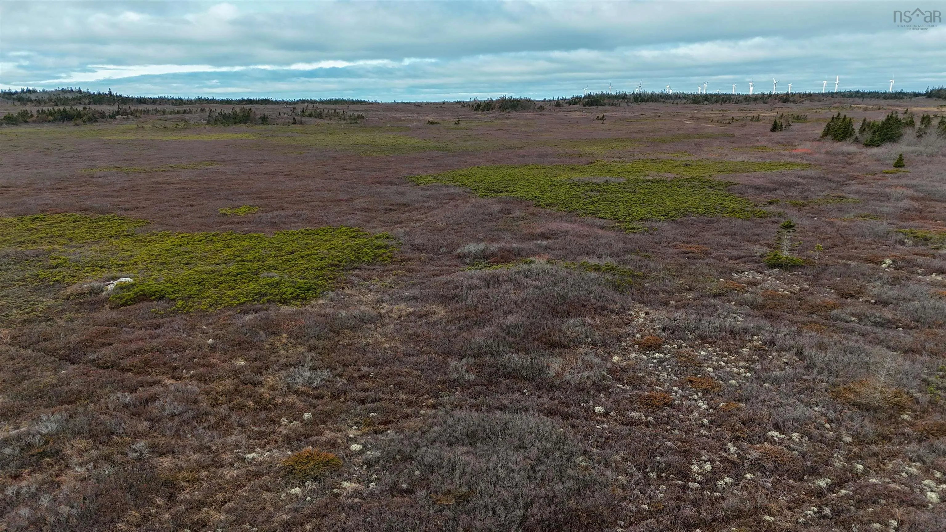 Popes Road, Charlesville, NS B0W 2E0, ,Land,For Sale,Popes,202521492