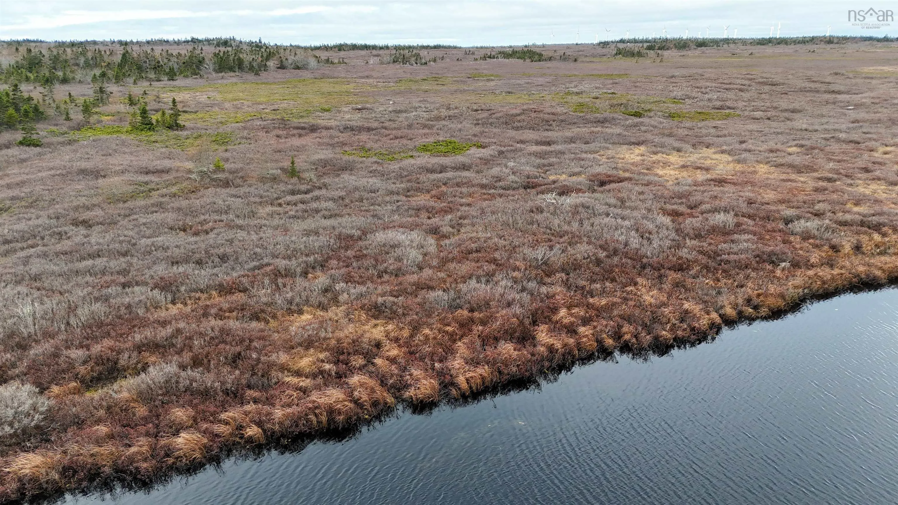 Popes Road, Charlesville, NS B0W 2E0, ,Land,For Sale,Popes,202521492