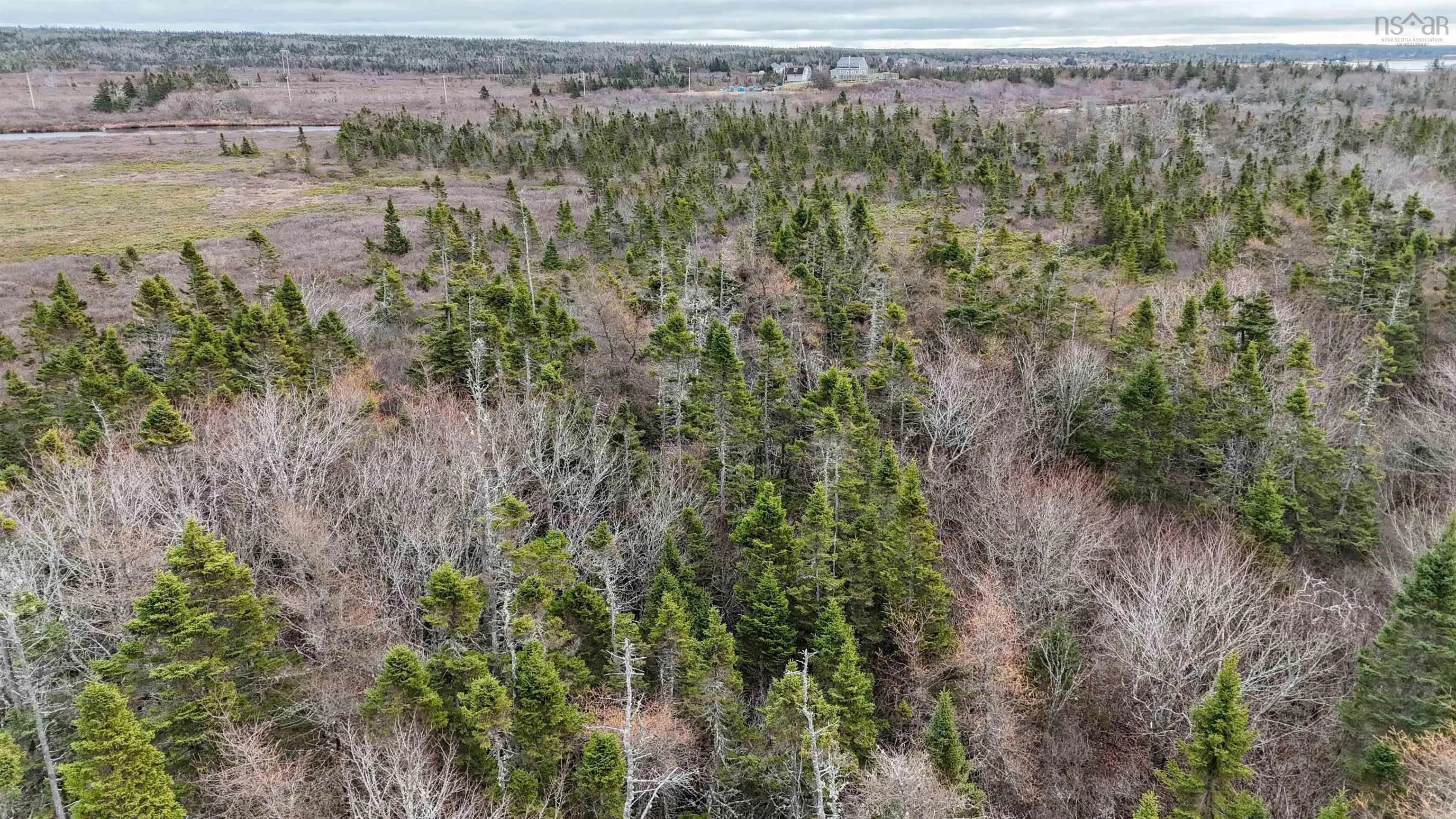 Popes Road, Charlesville, NS B0W 2E0, ,Land,For Sale,Popes,202521492