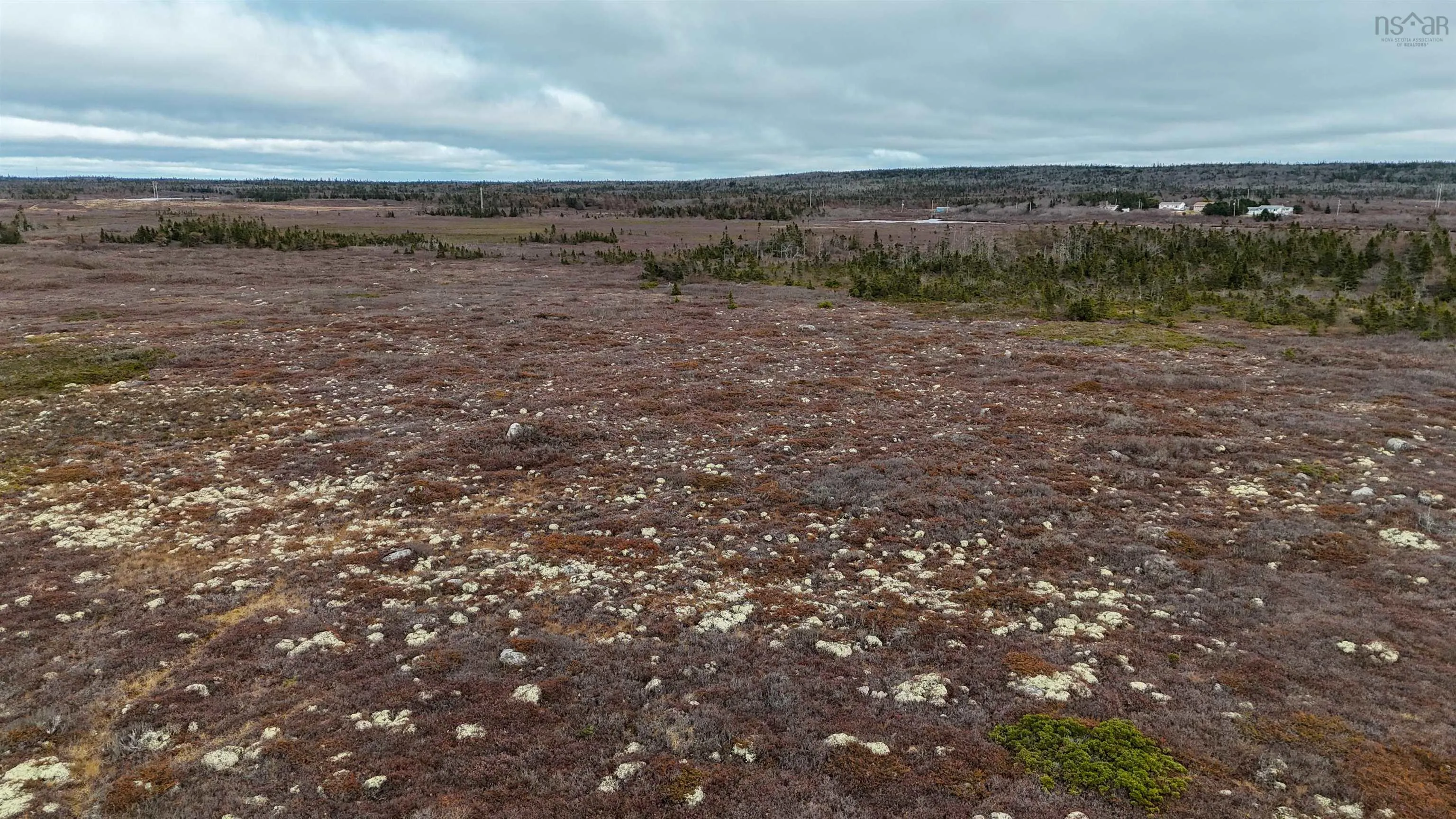 Popes Road, Charlesville, NS B0W 2E0, ,Land,For Sale,Popes,202521492