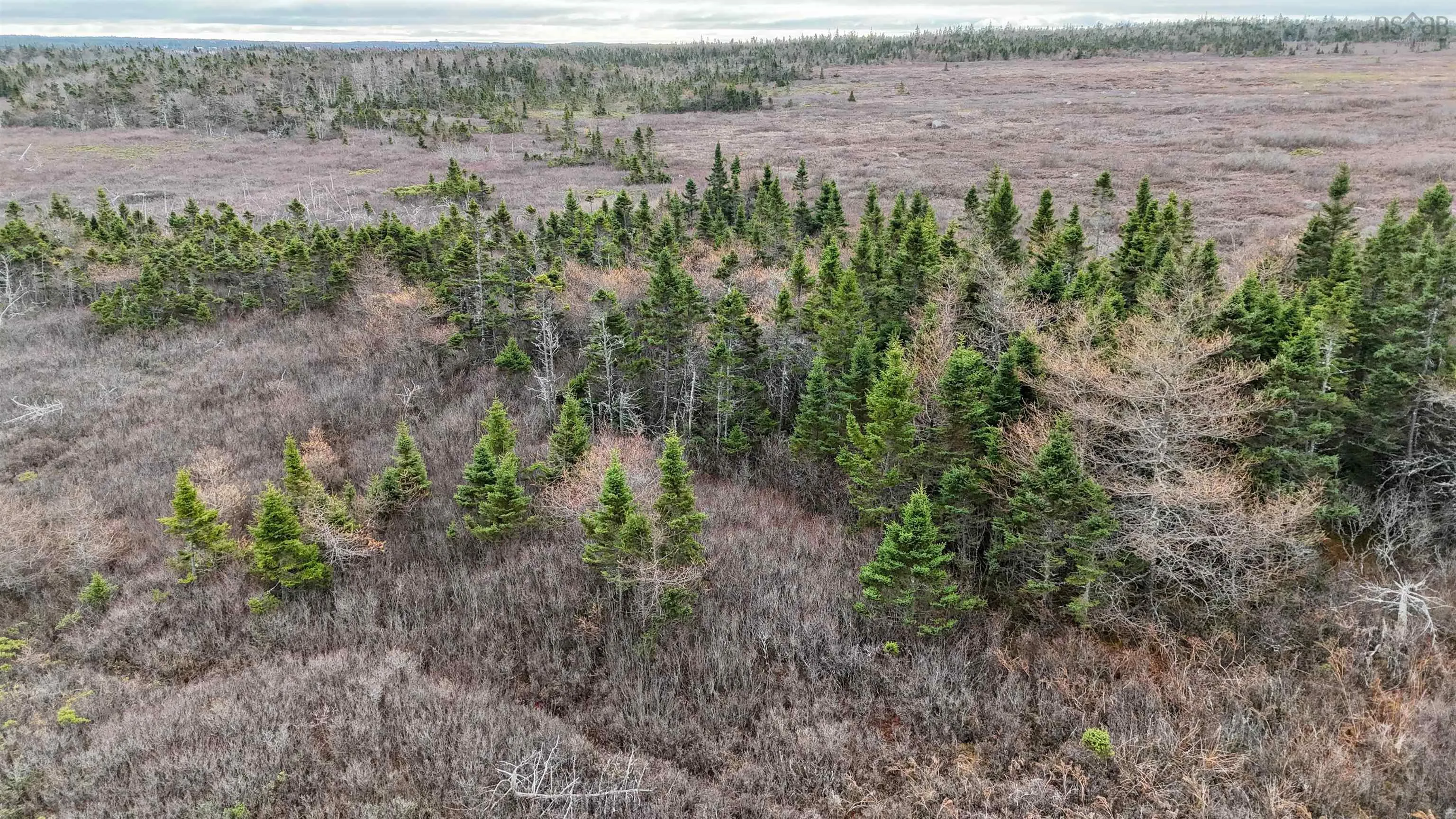 Popes Road, Charlesville, NS B0W 2E0, ,Land,For Sale,Popes,202521492