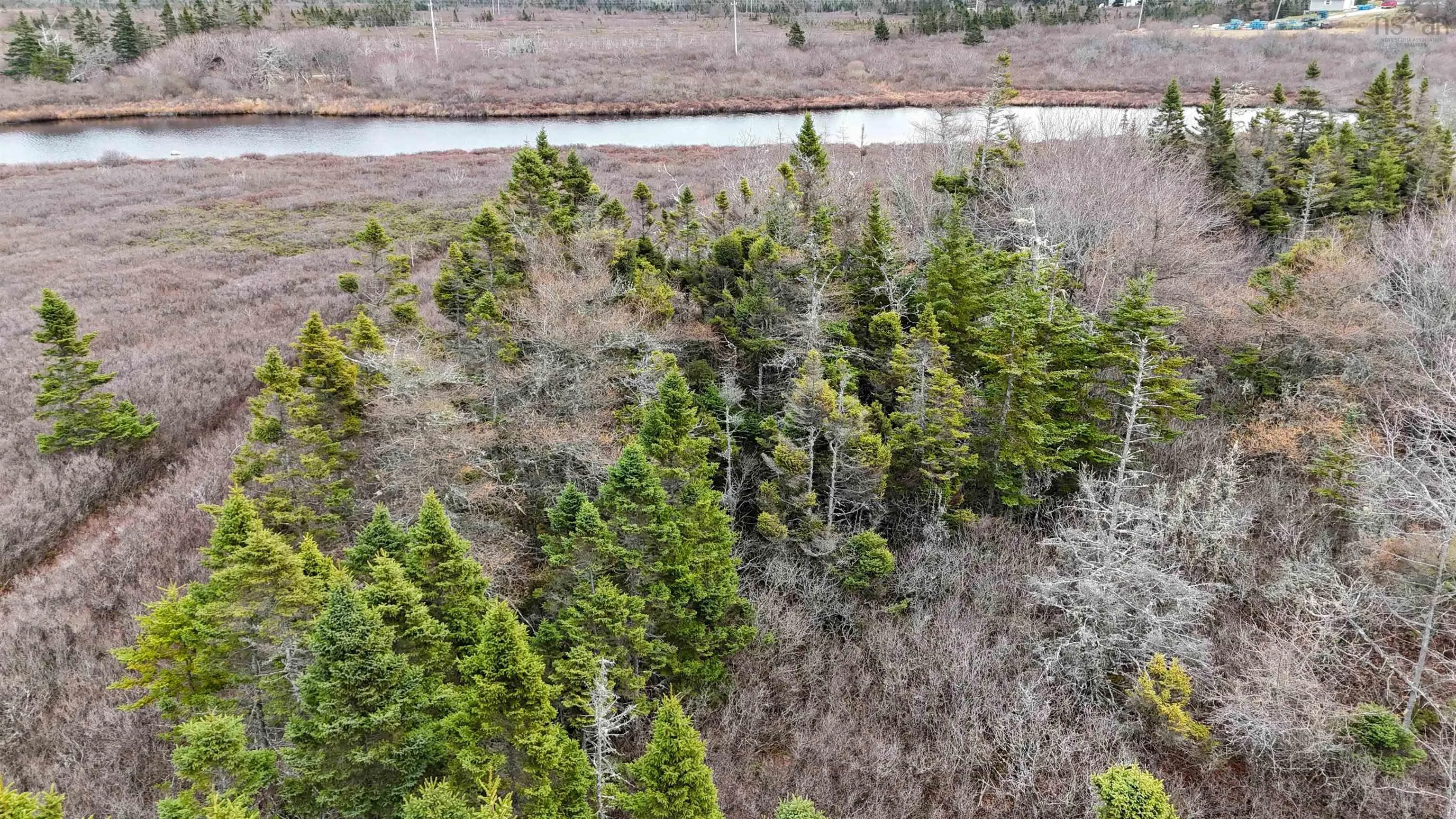 Popes Road, Charlesville, NS B0W 2E0, ,Land,For Sale,Popes,202521492