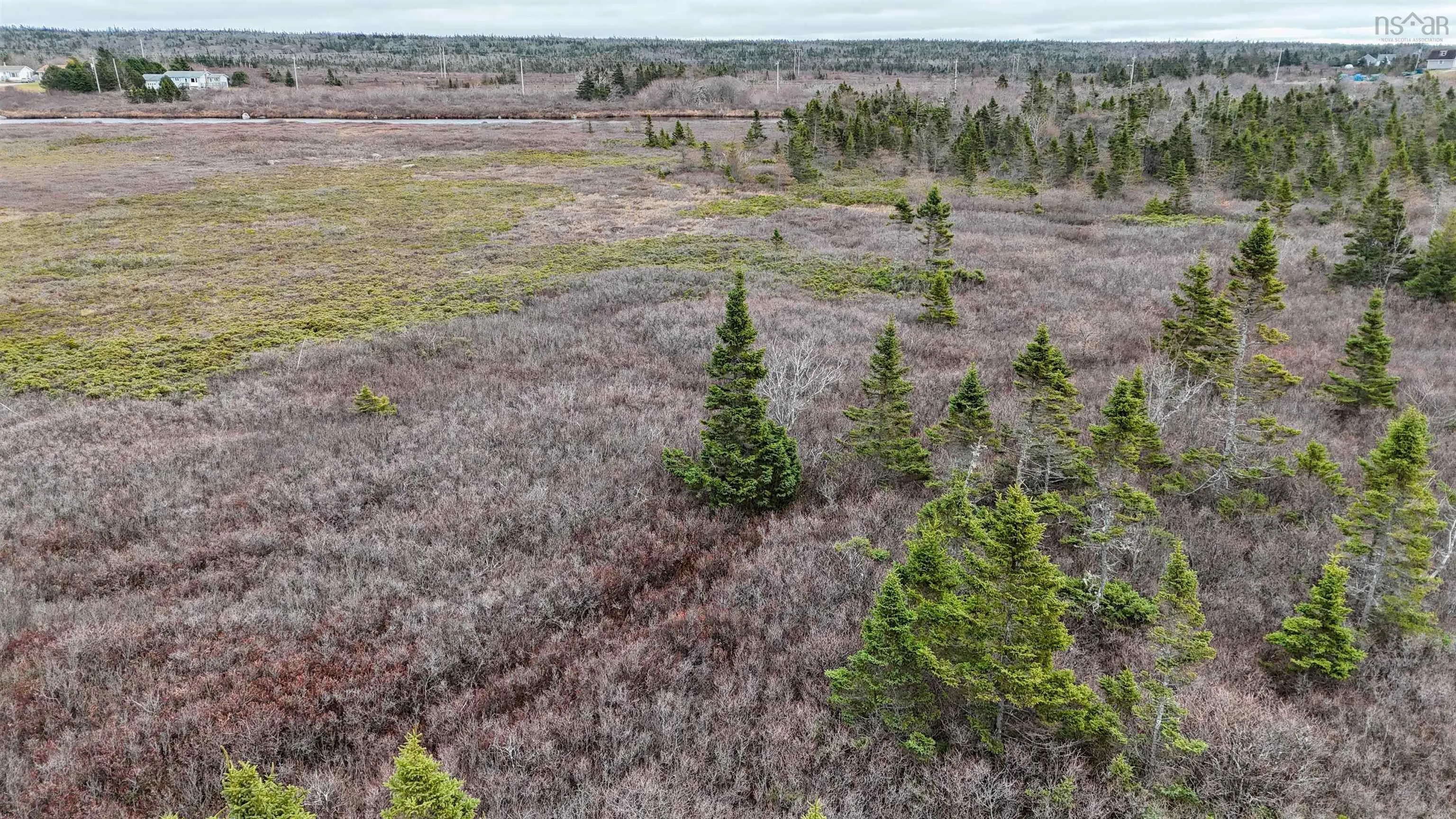 Popes Road, Charlesville, NS B0W 2E0, ,Land,For Sale,Popes,202521492