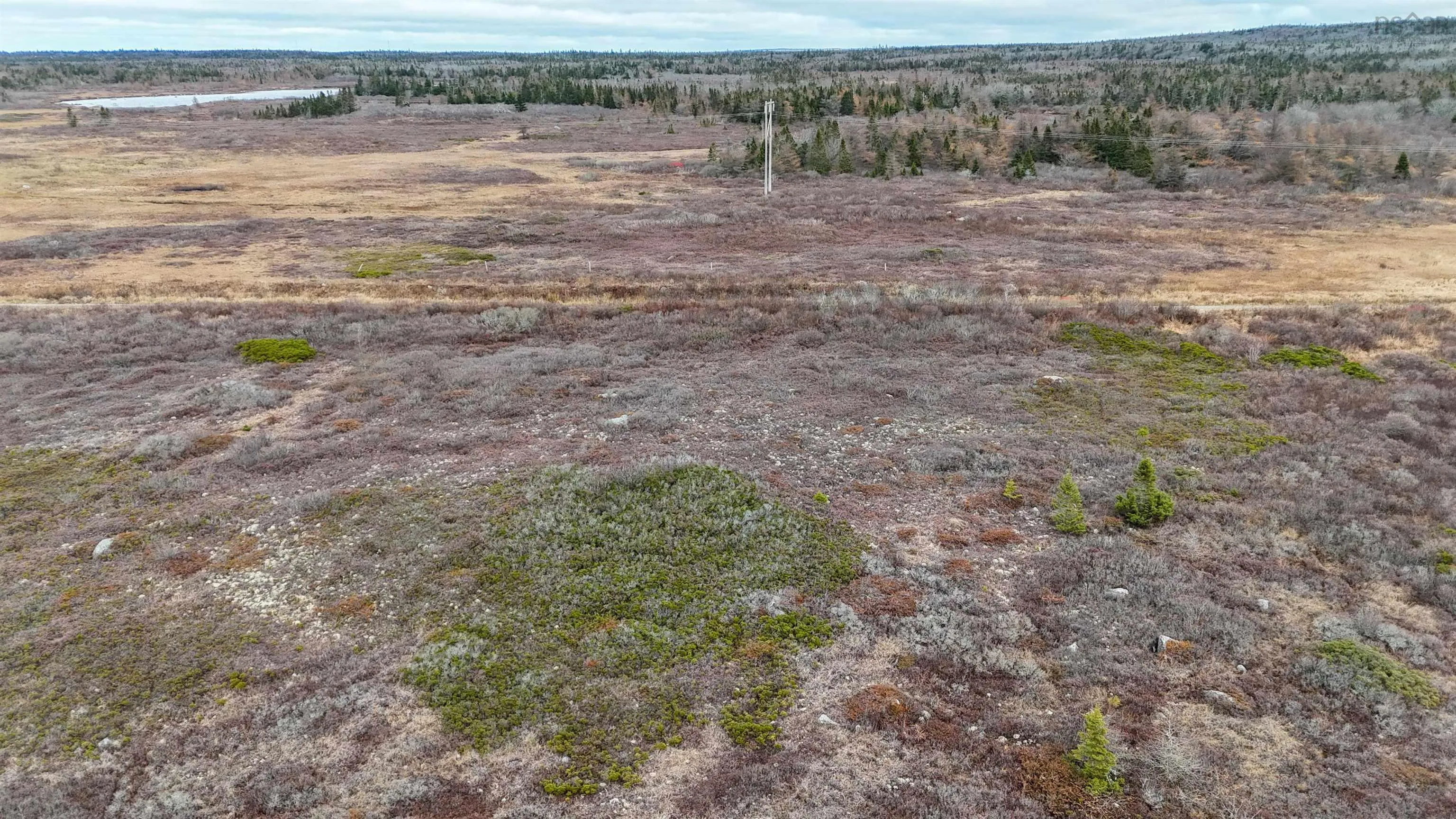 Popes Road, Charlesville, NS B0W 2E0, ,Land,For Sale,Popes,202521492