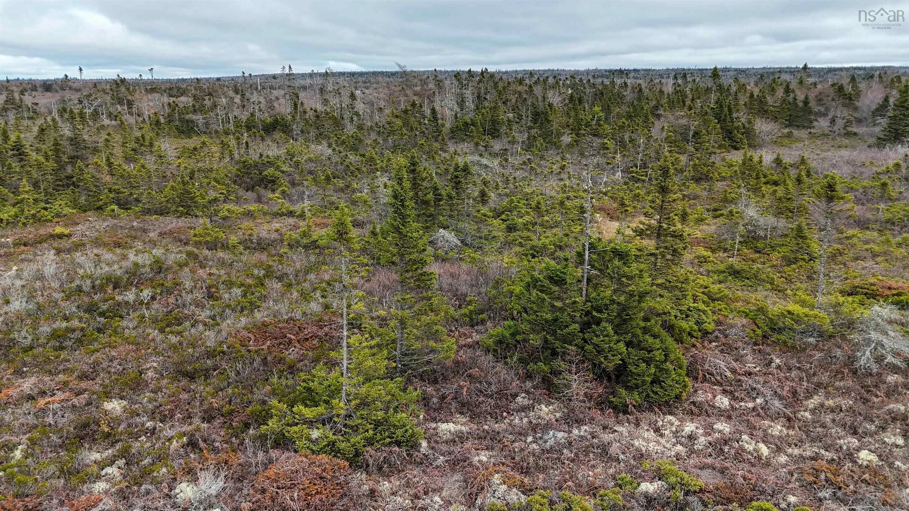 Popes Road, Charlesville, NS B0W 2E0, ,Land,For Sale,Popes,202521492