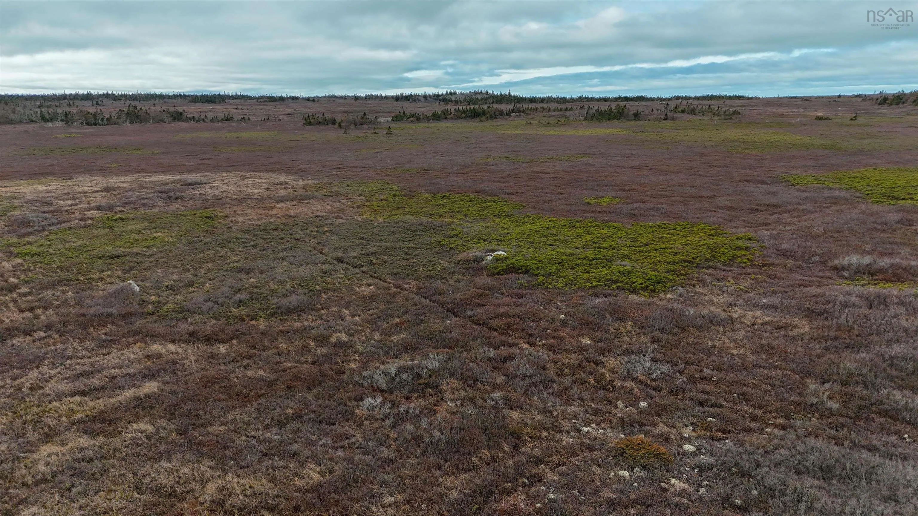 Popes Road, Charlesville, NS B0W 2E0, ,Land,For Sale,Popes,202521492