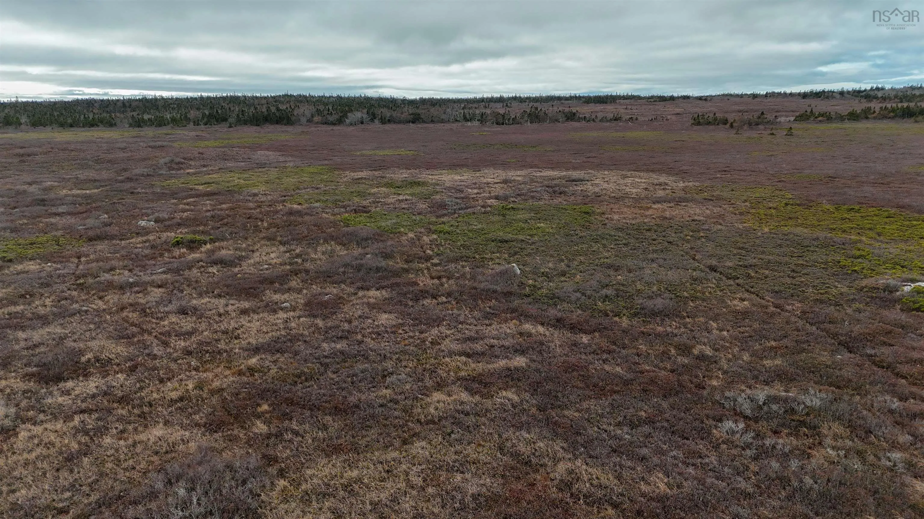 Popes Road, Charlesville, NS B0W 2E0, ,Land,For Sale,Popes,202521492