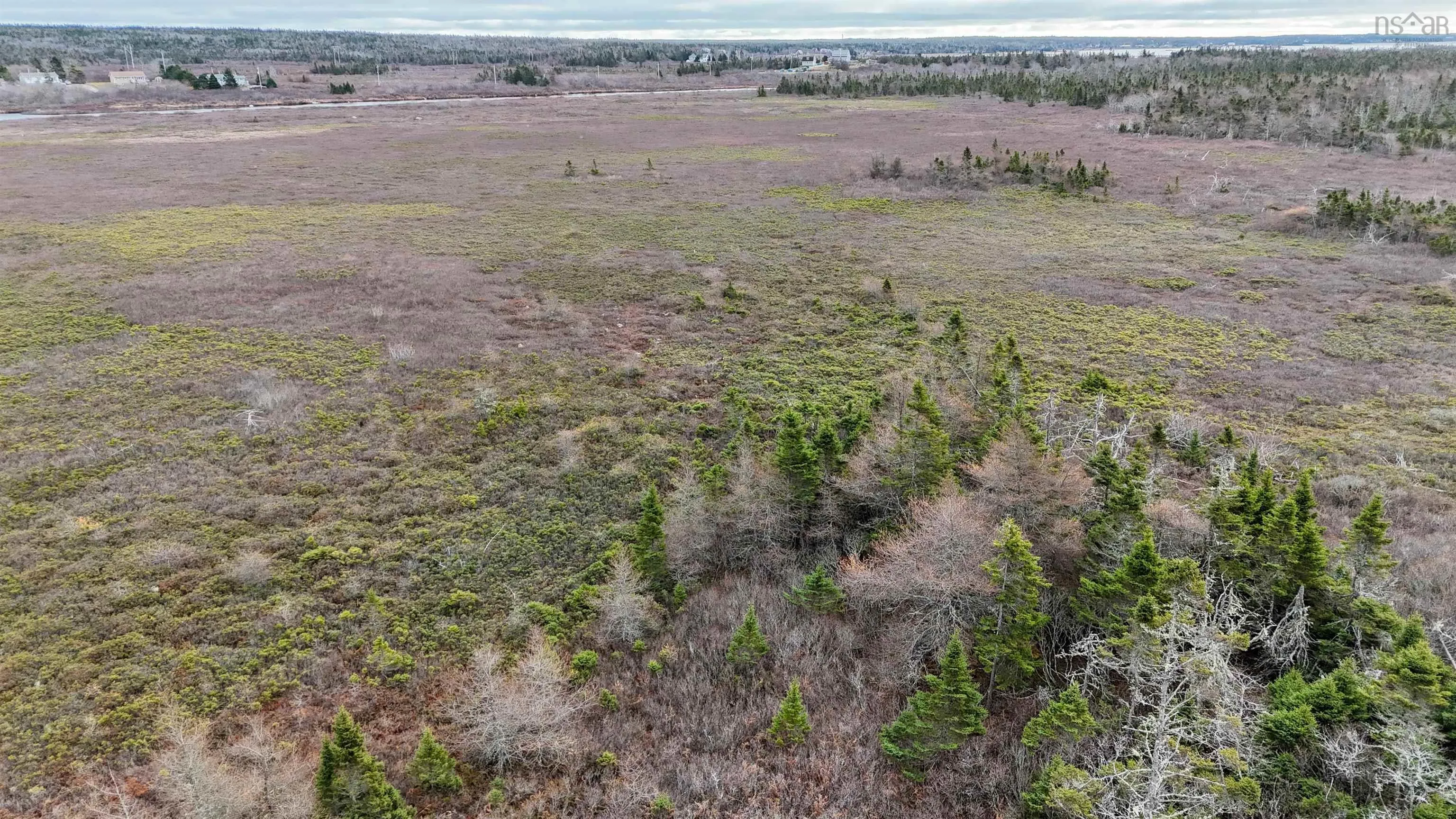 Popes Road, Charlesville, NS B0W 2E0, ,Land,For Sale,Popes,202521492