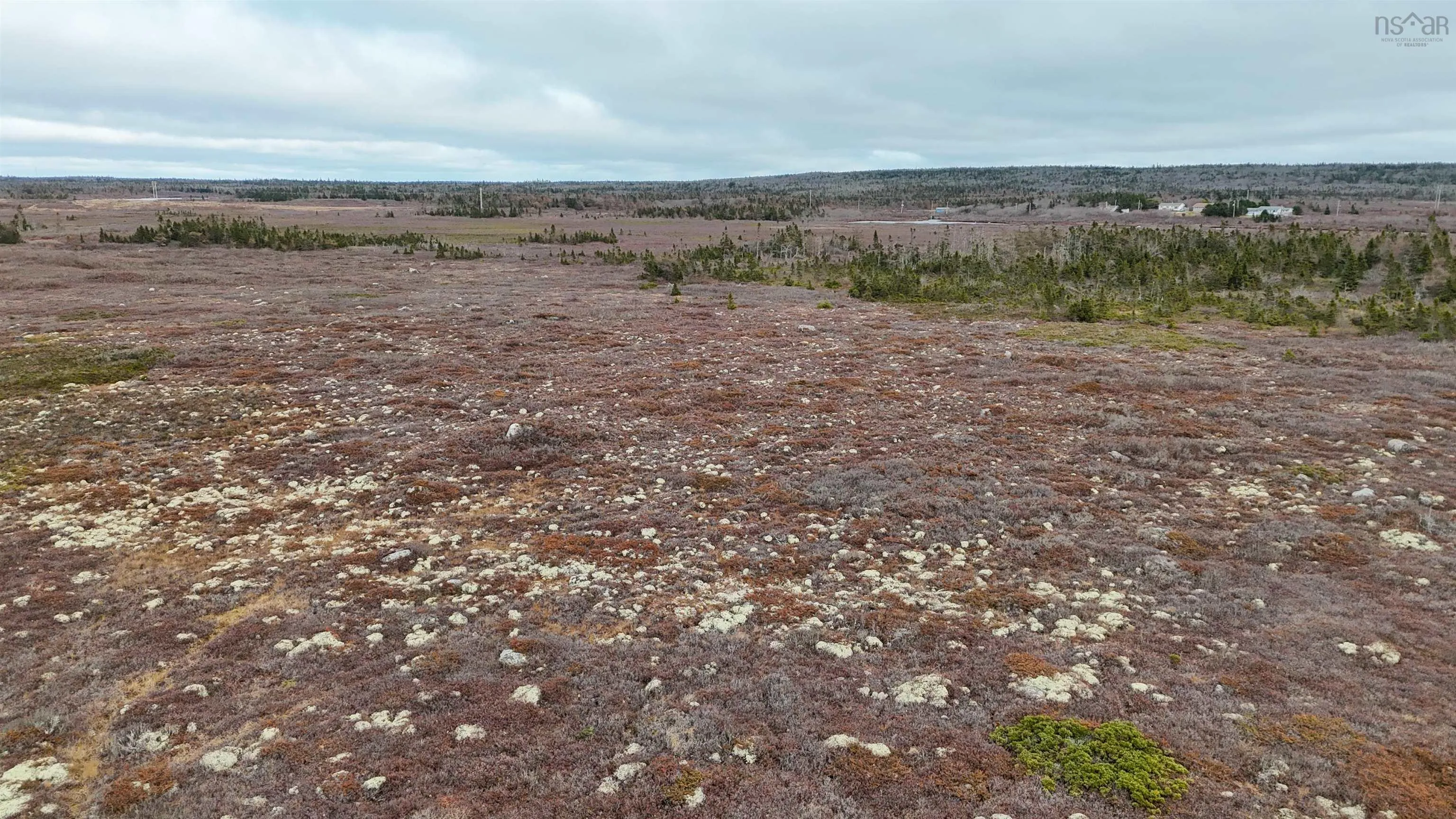 Popes Road, Charlesville, NS B0W 2E0, ,Land,For Sale,Popes,202521492