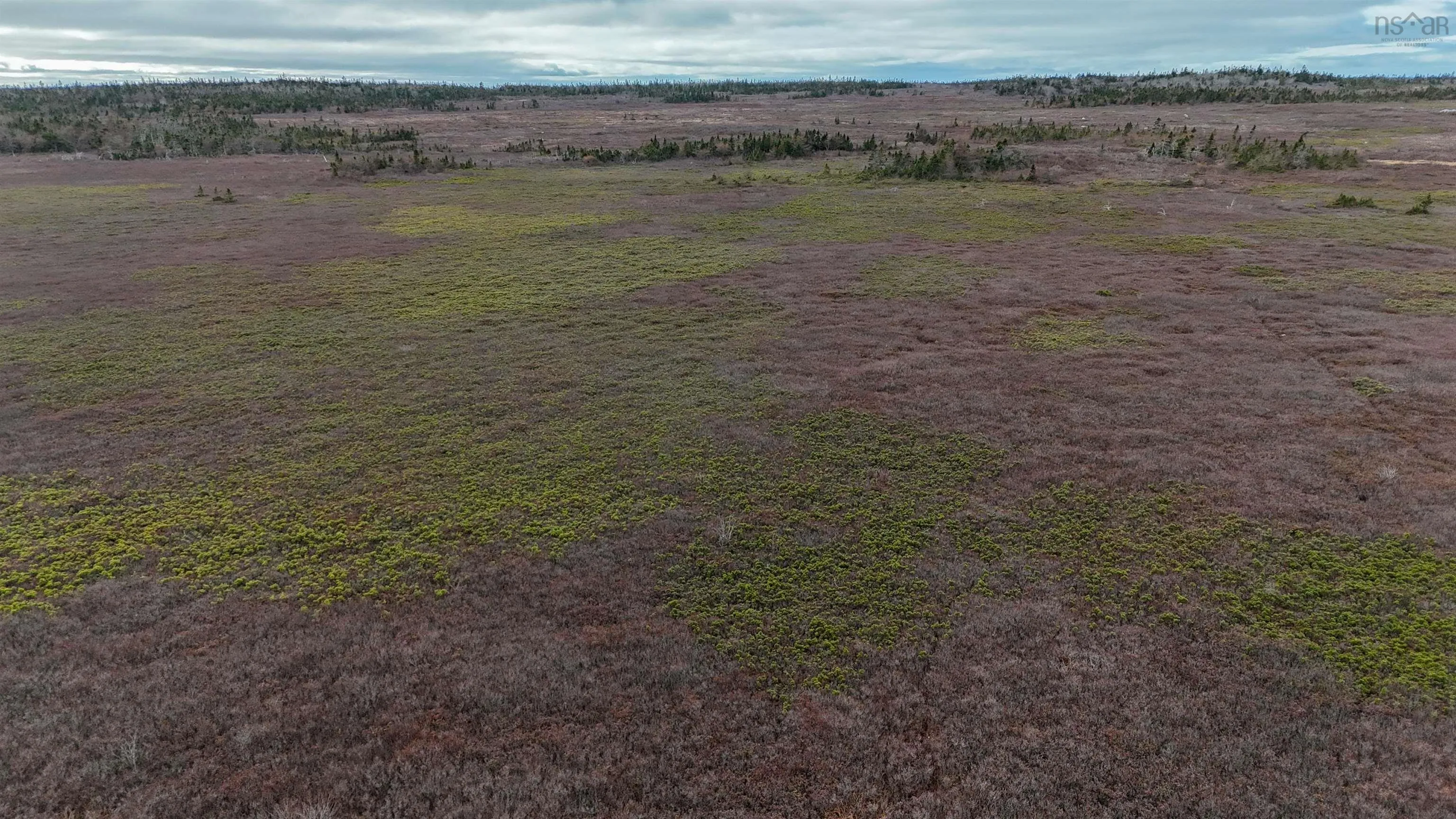 Popes Road, Charlesville, NS B0W 2E0, ,Land,For Sale,Popes,202521492