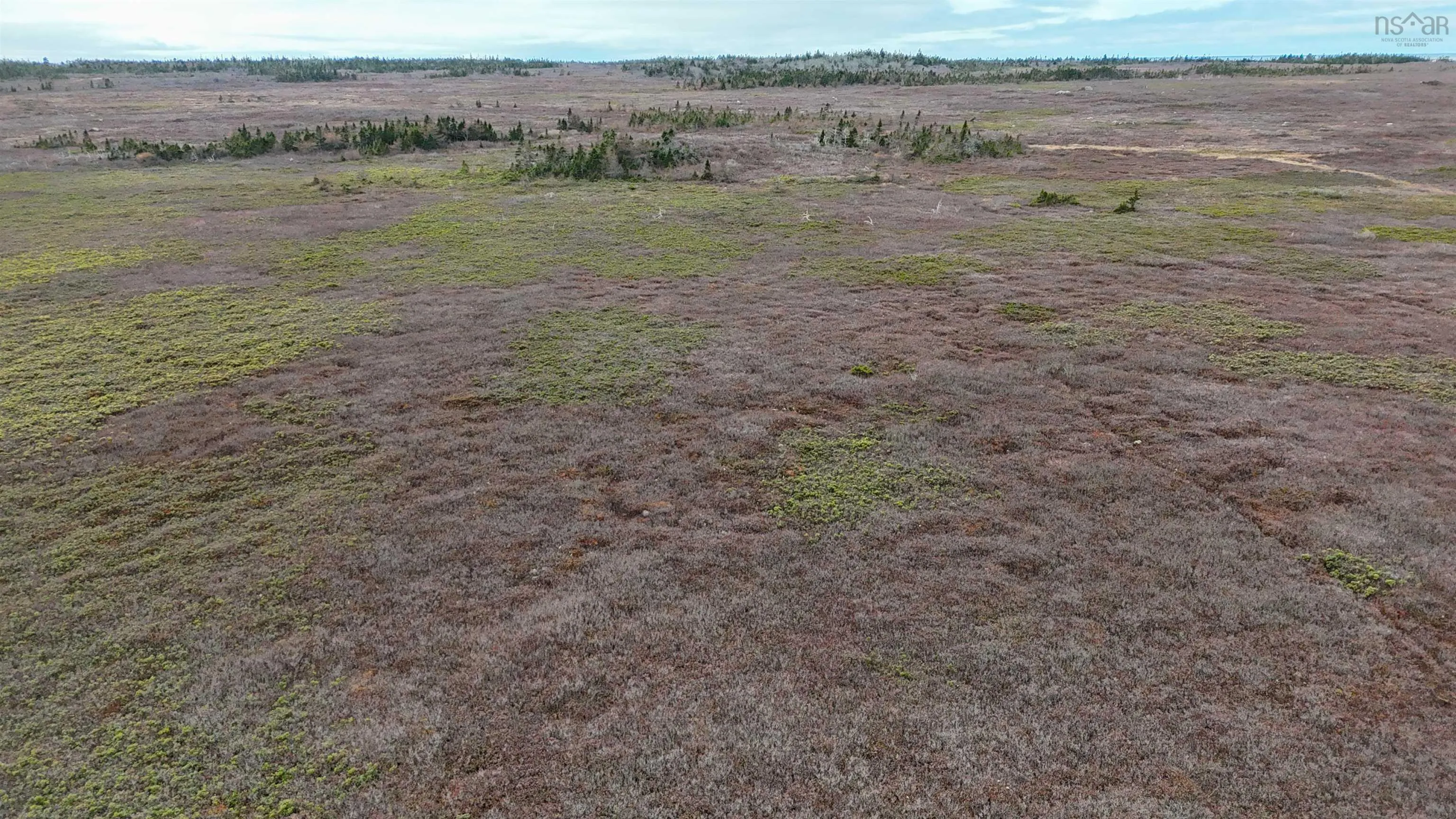 Popes Road, Charlesville, NS B0W 2E0, ,Land,For Sale,Popes,202521492