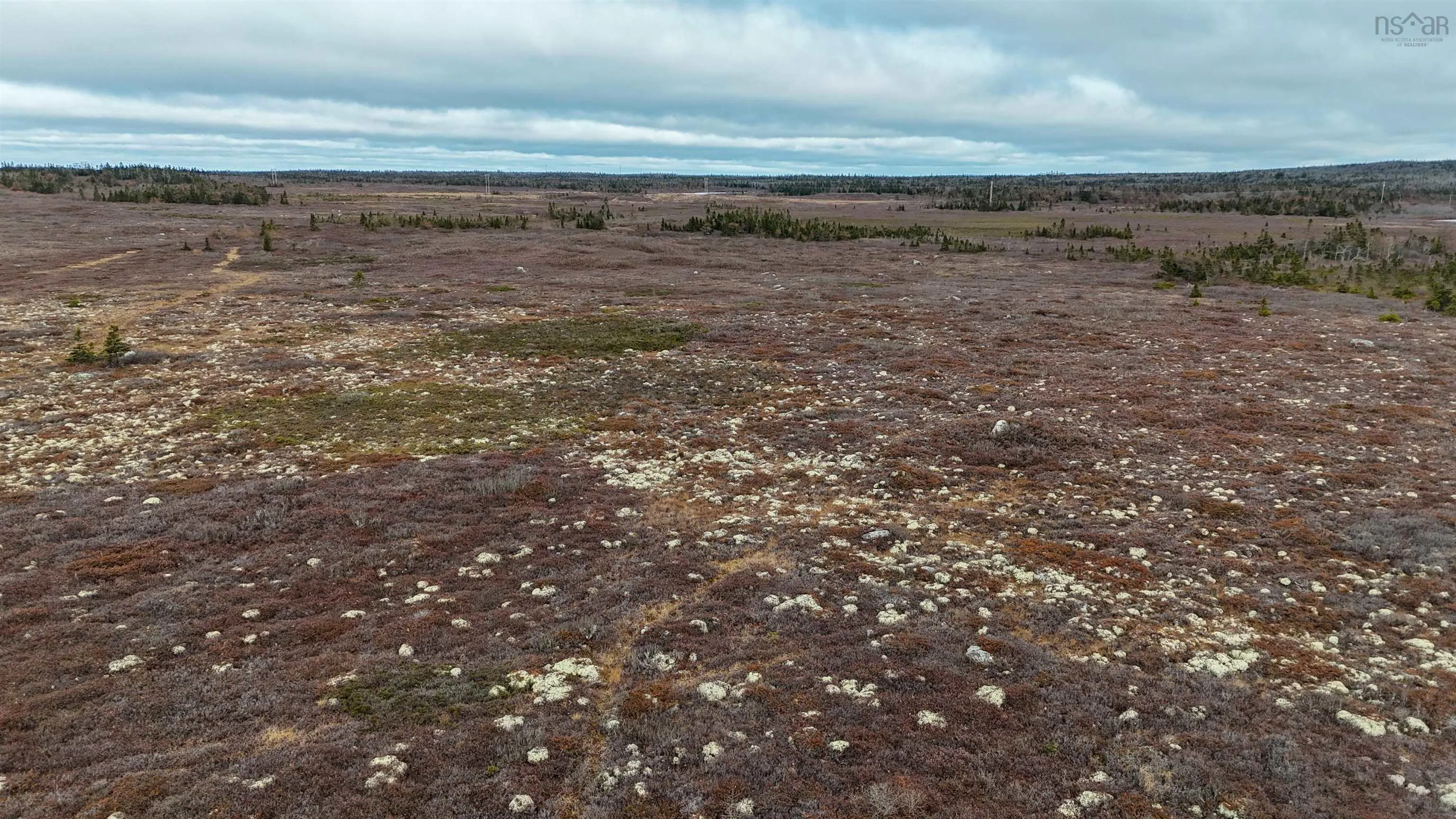 Popes Road, Charlesville, NS B0W 2E0, ,Land,For Sale,Popes,202521492