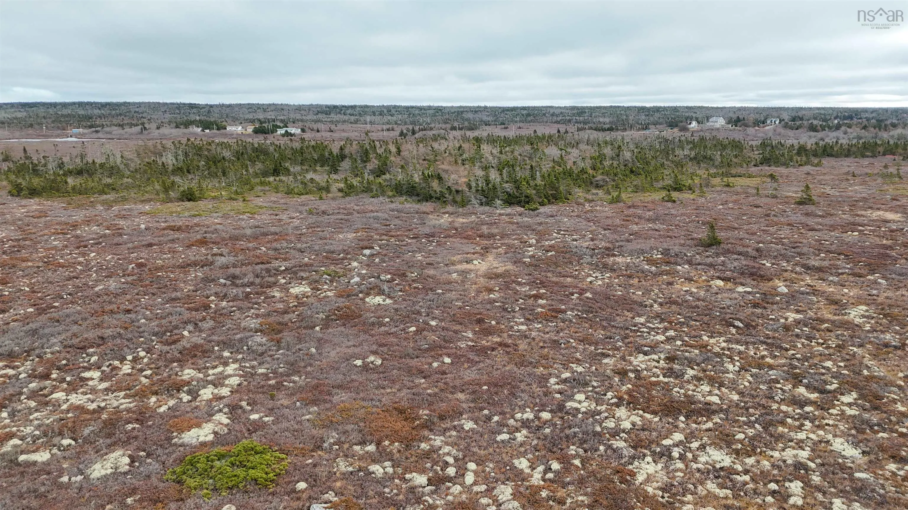 Popes Road, Charlesville, NS B0W 2E0, ,Land,For Sale,Popes,202521492