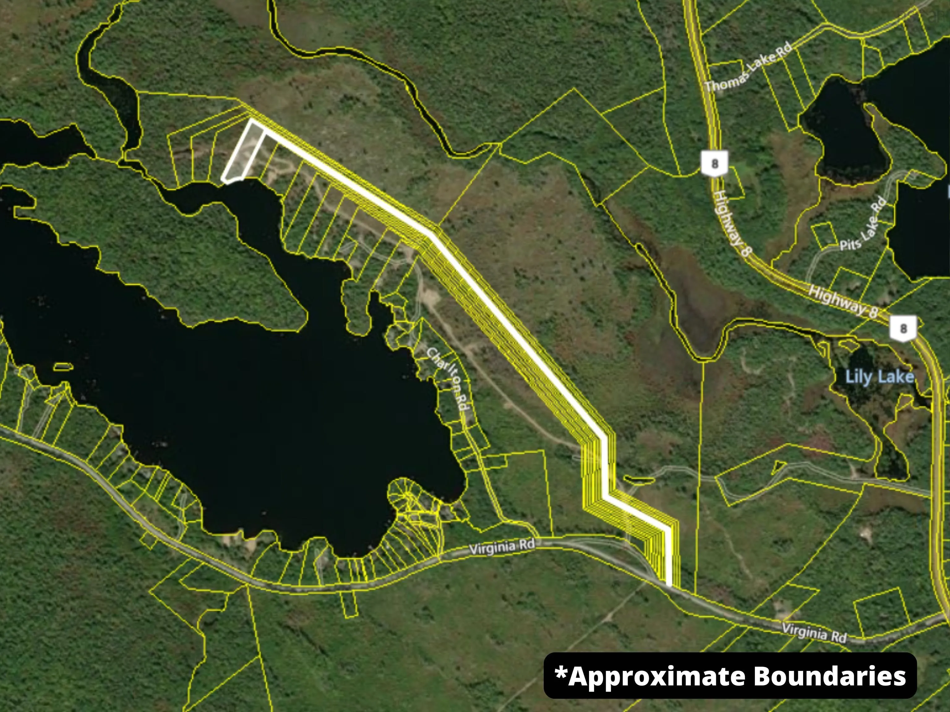 335 Charlton Road Lot 10, West Springhill, NS B0S 1A0, ,Land,For Sale,Charlton,202518894