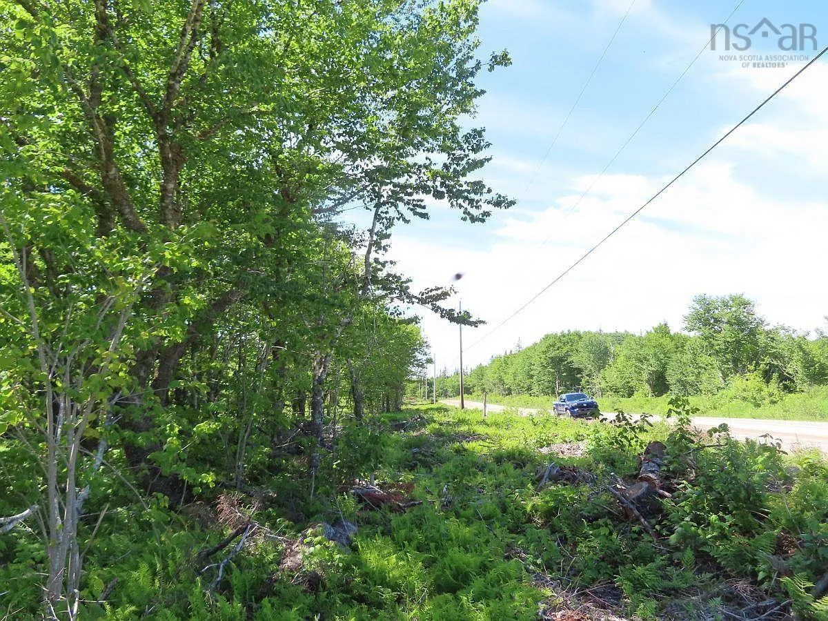 Lot 10 Loch Lomond Road, Big Pond Ns B1j 1r4, ,Land,For Sale,Loch Lomond,202411605