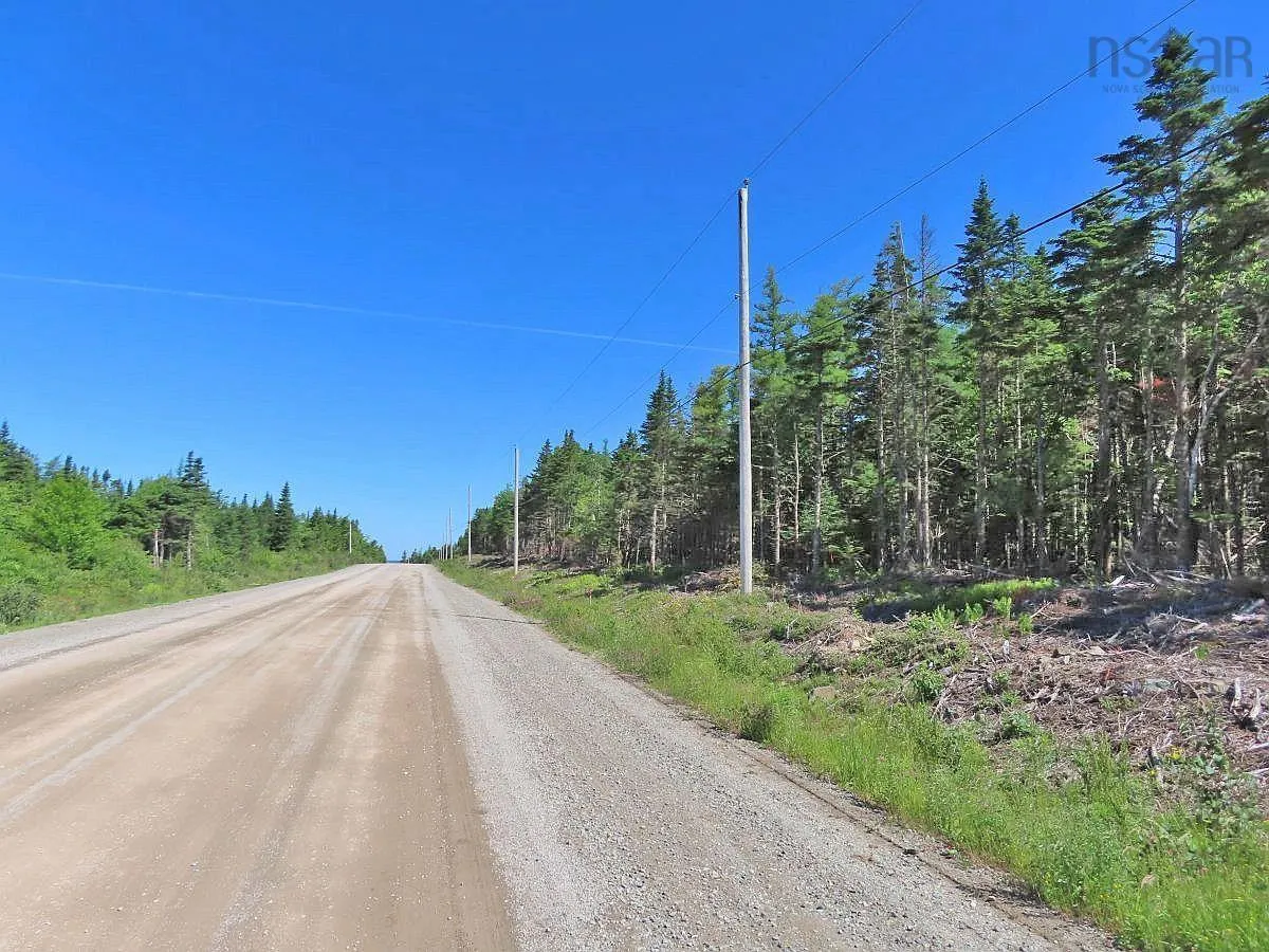 Lot 10 Loch Lomond Road, Big Pond Ns B1j 1r4, ,Land,For Sale,Loch Lomond,202411605
