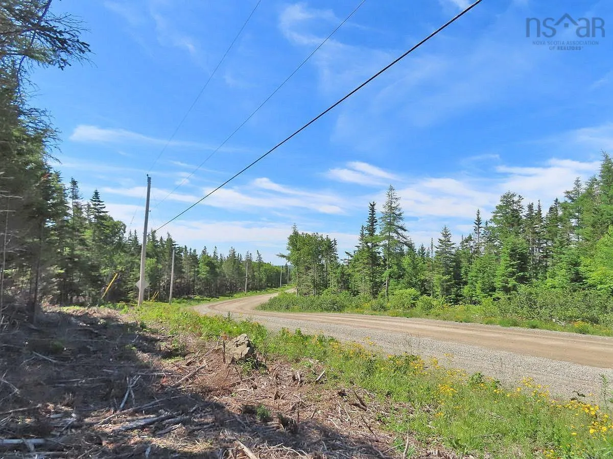 Lot 10 Loch Lomond Road, Big Pond Ns B1j 1r4, ,Land,For Sale,Loch Lomond,202411605