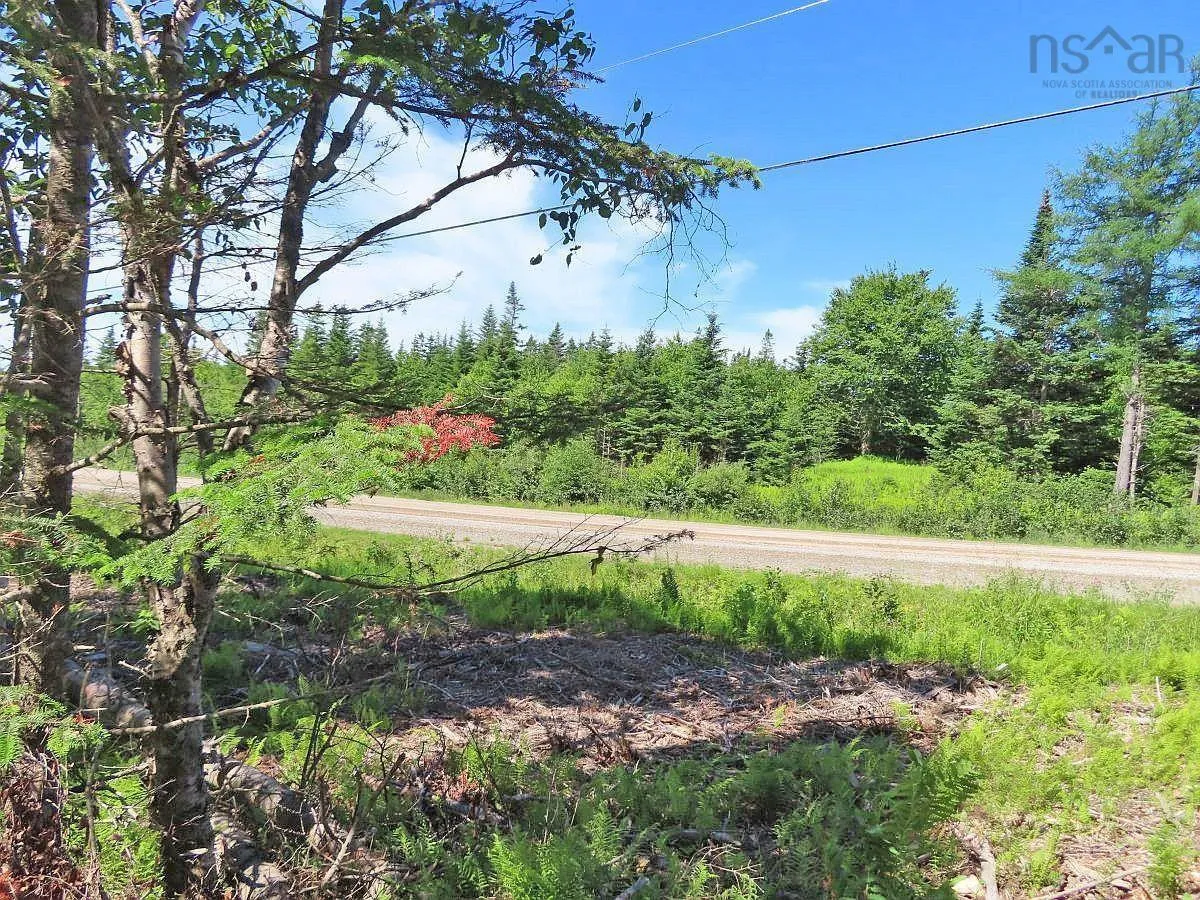 Lot 10 Loch Lomond Road, Big Pond Ns B1j 1r4, ,Land,For Sale,Loch Lomond,202411605
