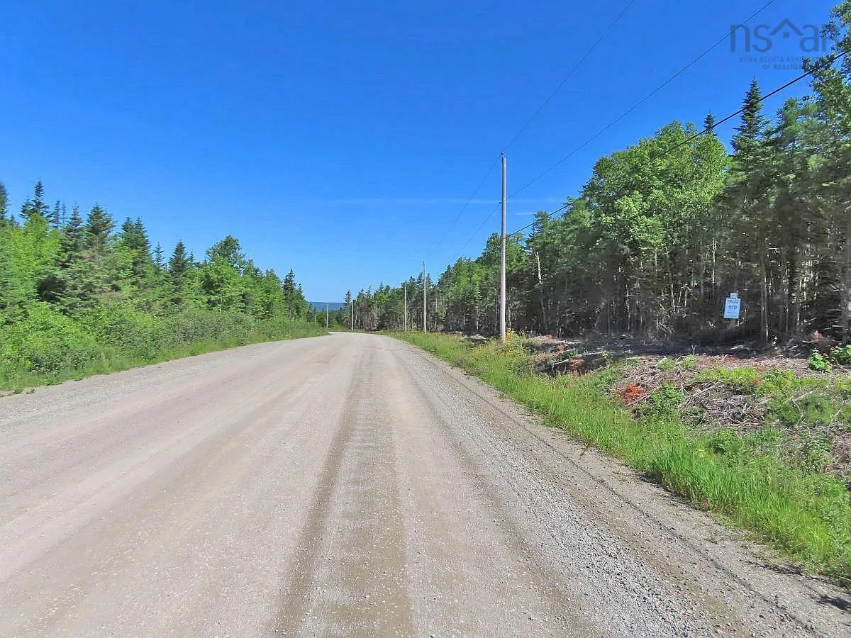 Lot 10 Loch Lomond Road, Big Pond Ns B1j 1r4, ,Land,For Sale,Loch Lomond,202411605