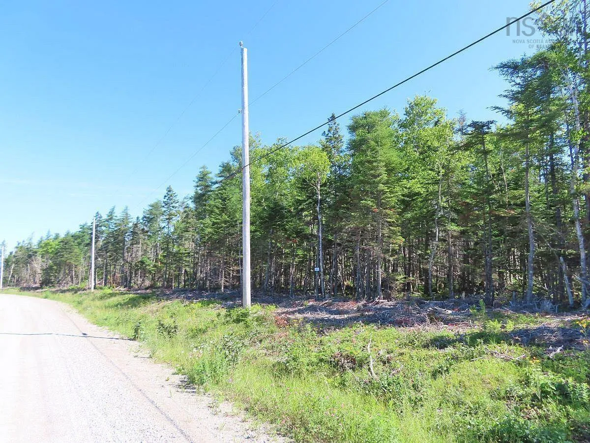 Lot 10 Loch Lomond Road, Big Pond Ns B1j 1r4, ,Land,For Sale,Loch Lomond,202411605